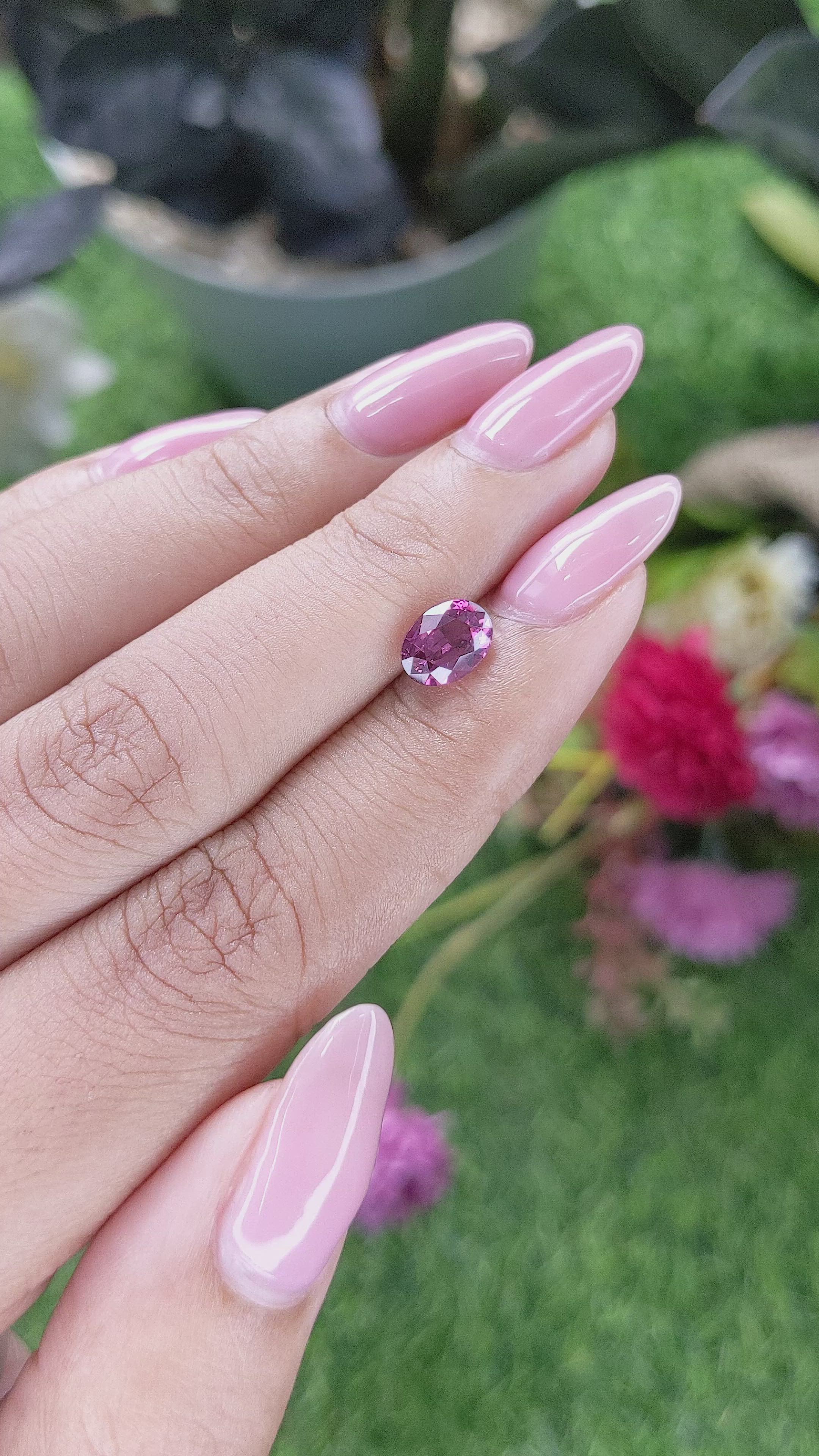1.57 Ct. Purplish Pink Rhodolite Garnet from Ceylon (Sri Lanka) Size Video