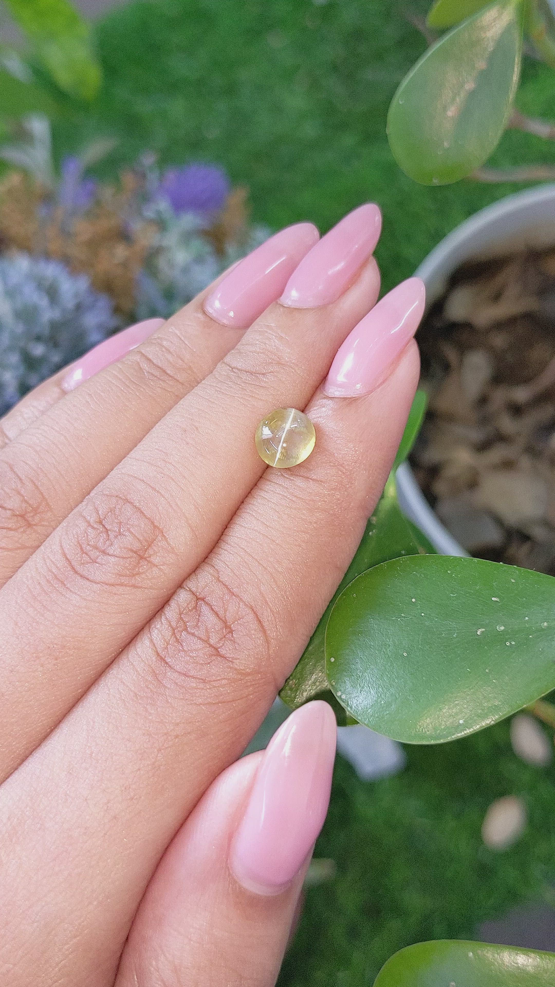 1.92 Ct. Greenish Yellow Cabochon Chrysoberyl from Ceylon (Sri Lanka) Size Video
