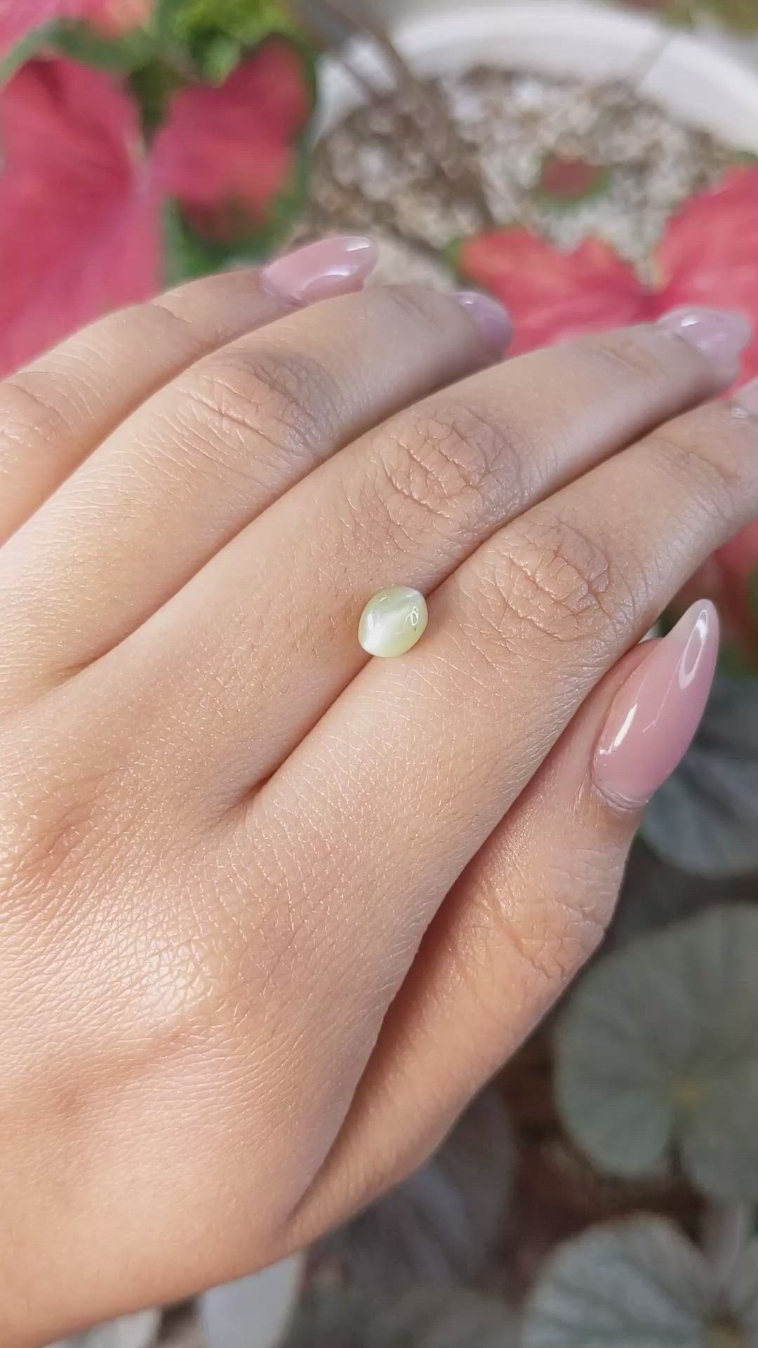1.68 Ct. Greenish Yellow Cabochon Chrysoberyl from Ceylon (Sri Lanka) Size Video