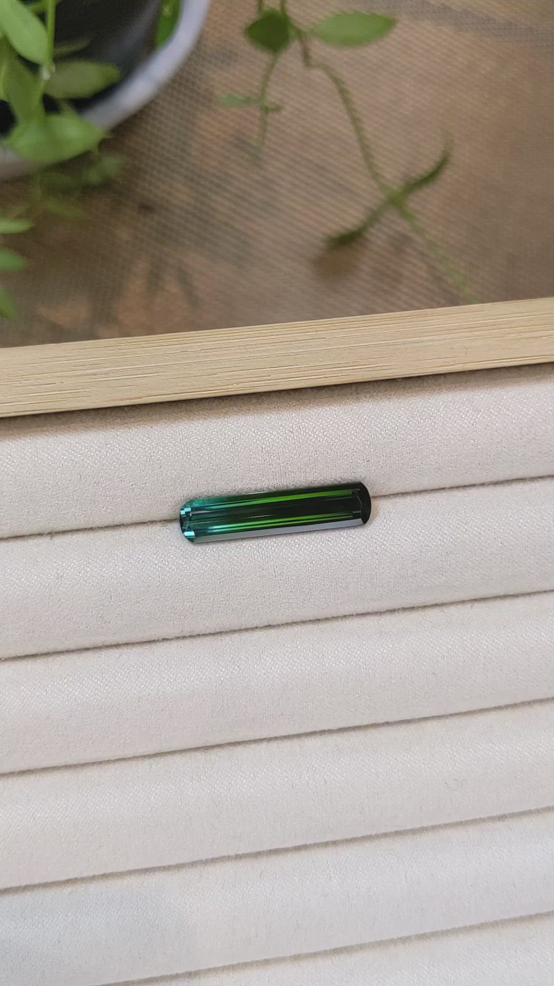 5.69 Ct. Bi Color Tourmaline from Mozambique Size Video