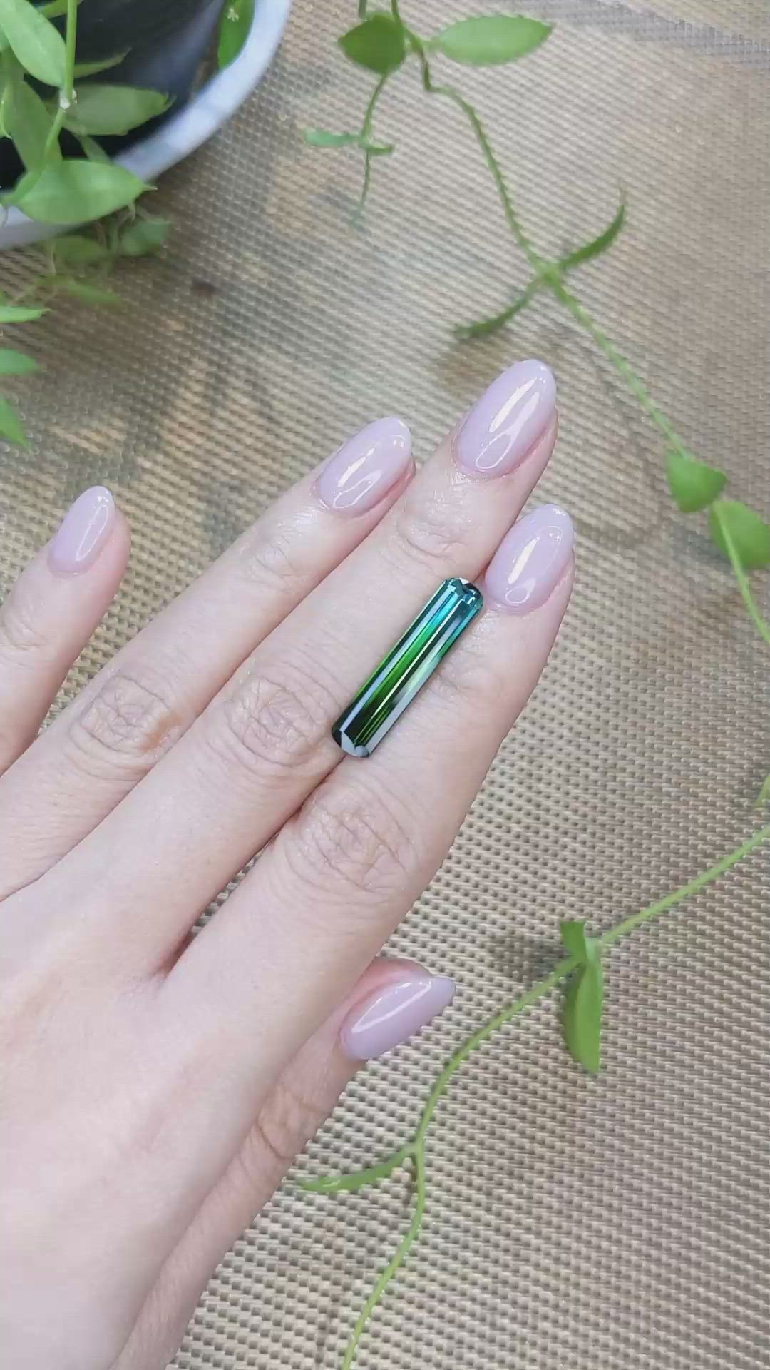 5.69 Ct. Bi Color Tourmaline from Mozambique Size Video