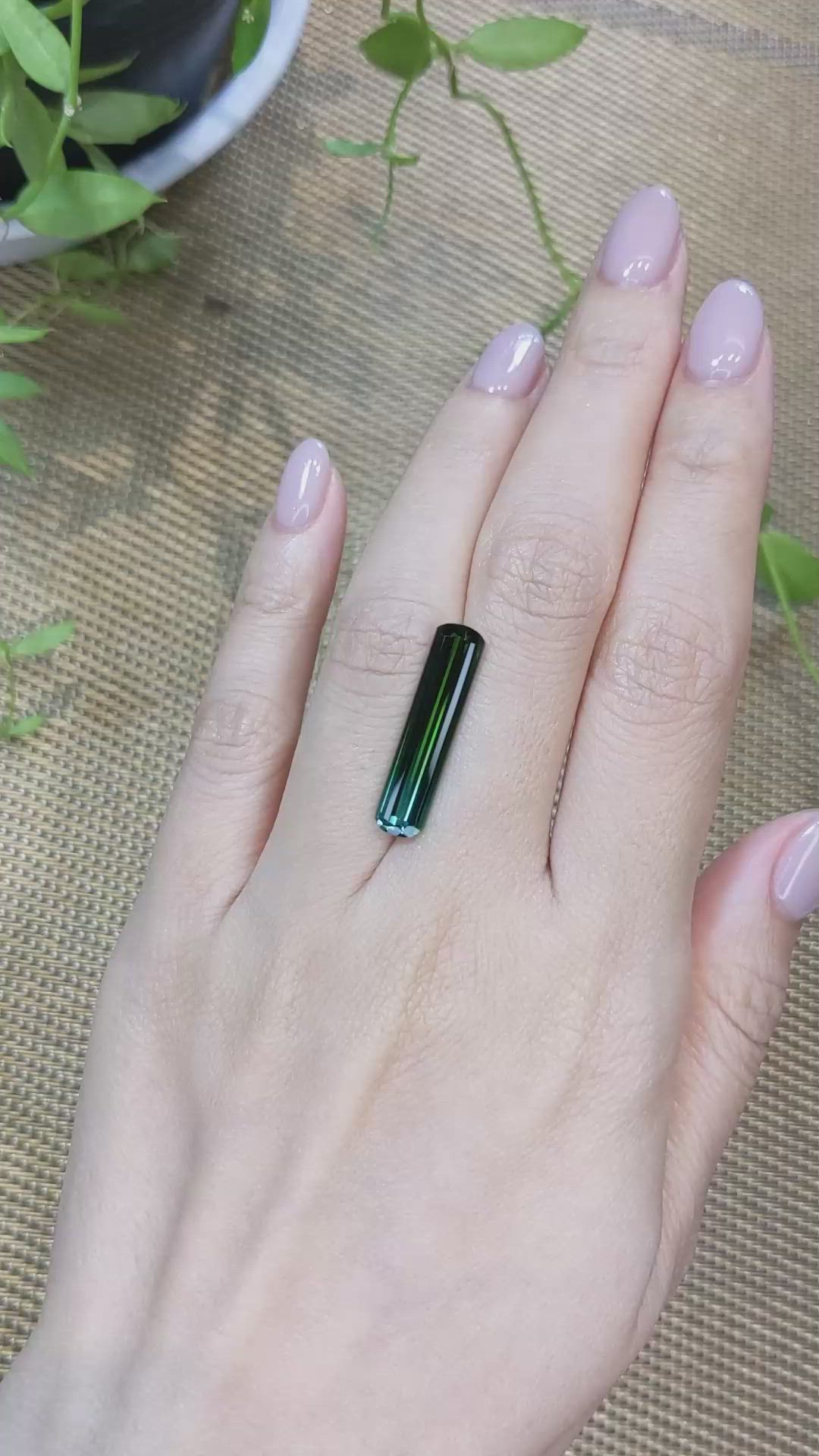 5.69 Ct. Bi Color Tourmaline from Mozambique Size Video
