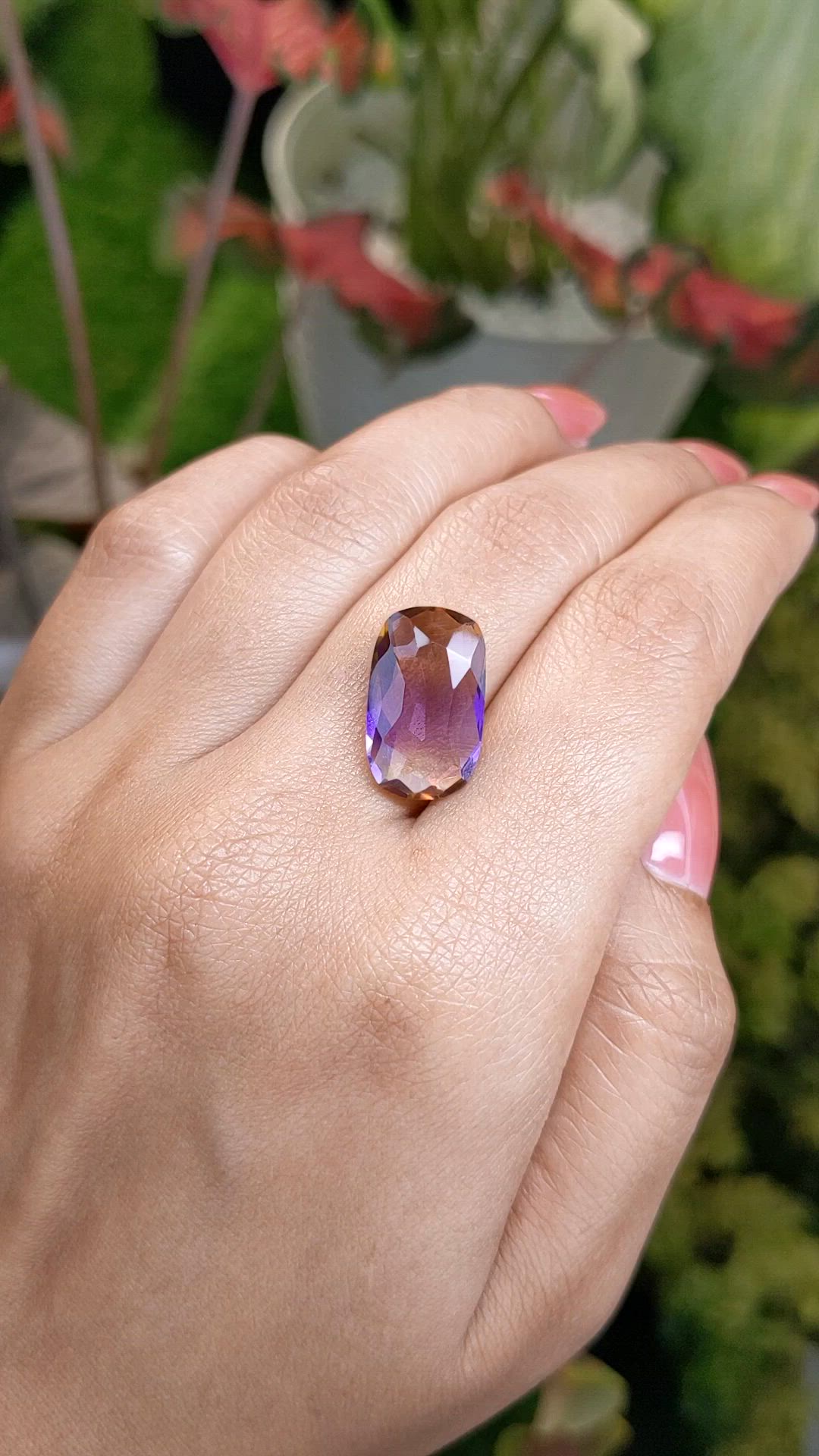 5.98 Ct. Bi Color Ametrine from Ceylon (Sri Lanka) Size Video