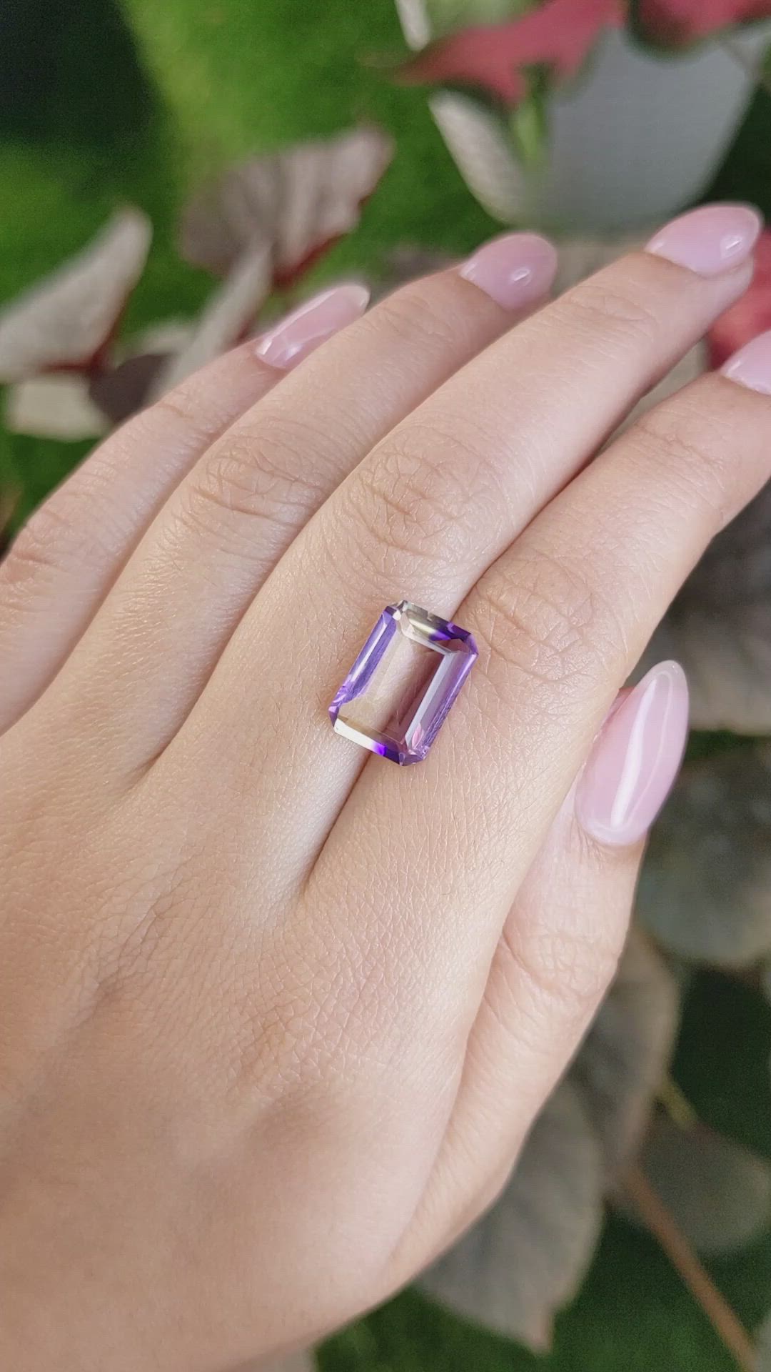 4.79 Ct. Bi Color Ametrine from Ceylon (Sri Lanka) Size Video