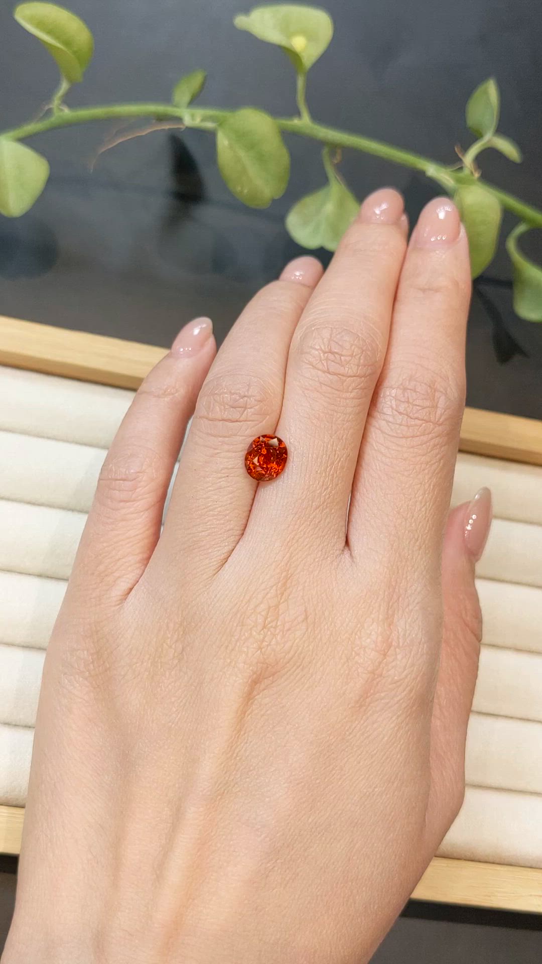 2.33 Ct. Reddish Orange Spessartite Garnet from Namibia Size Video