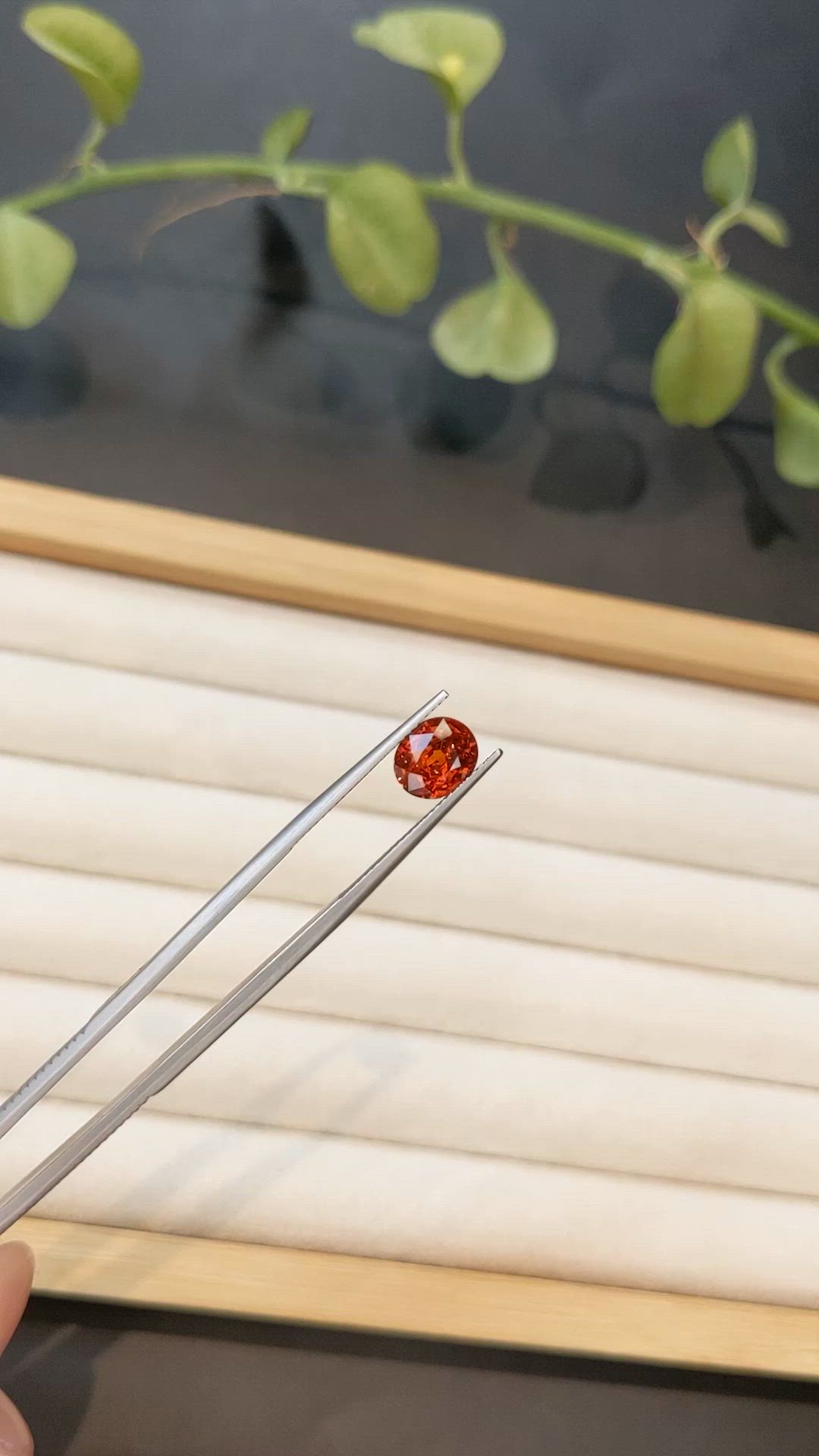 2.33 Ct. Reddish Orange Spessartite Garnet from Namibia Size Video