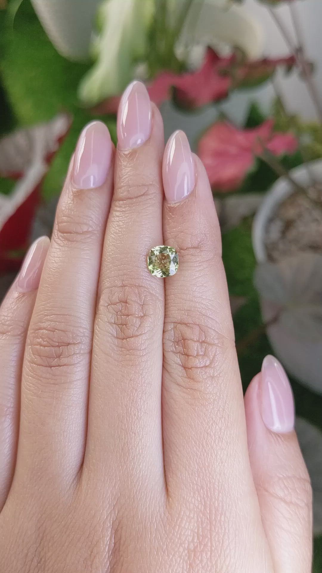 1.45 Ct. Greenish Yellow Chrysoberyl from Ceylon (Sri Lanka) Size Video