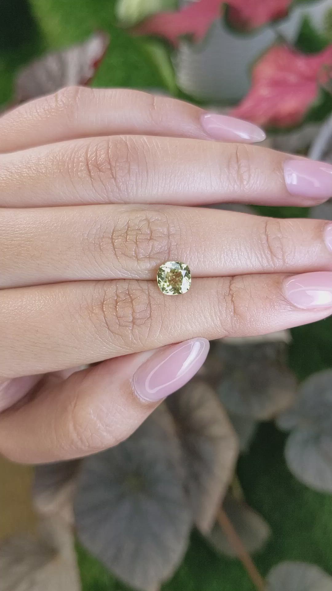 1.45 Ct. Greenish Yellow Chrysoberyl from Ceylon (Sri Lanka) Size Video