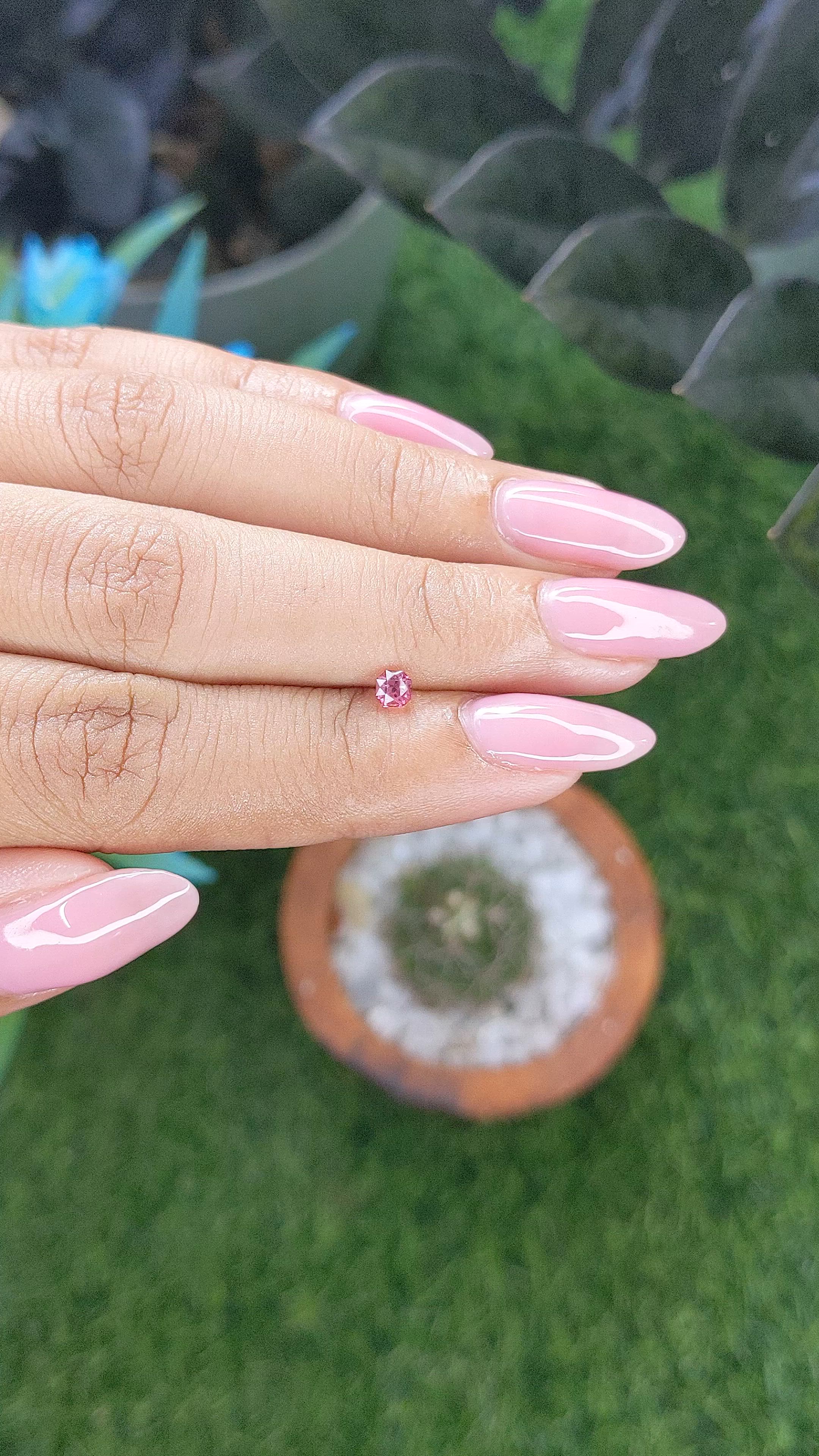 0.28 Ct. Pink Spinel from Tanzania Size Video