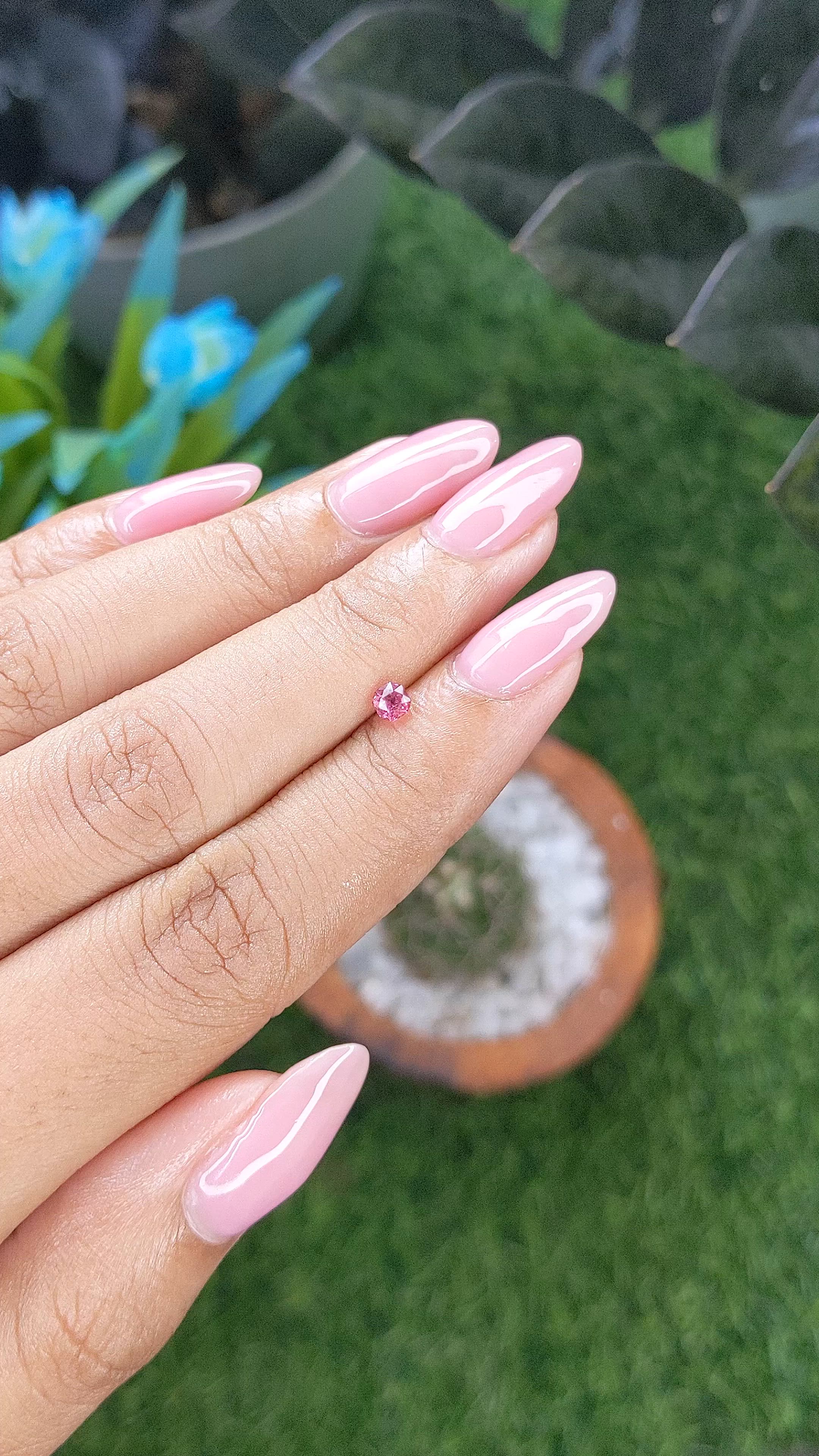 0.28 Ct. Pink Spinel from Tanzania Size Video