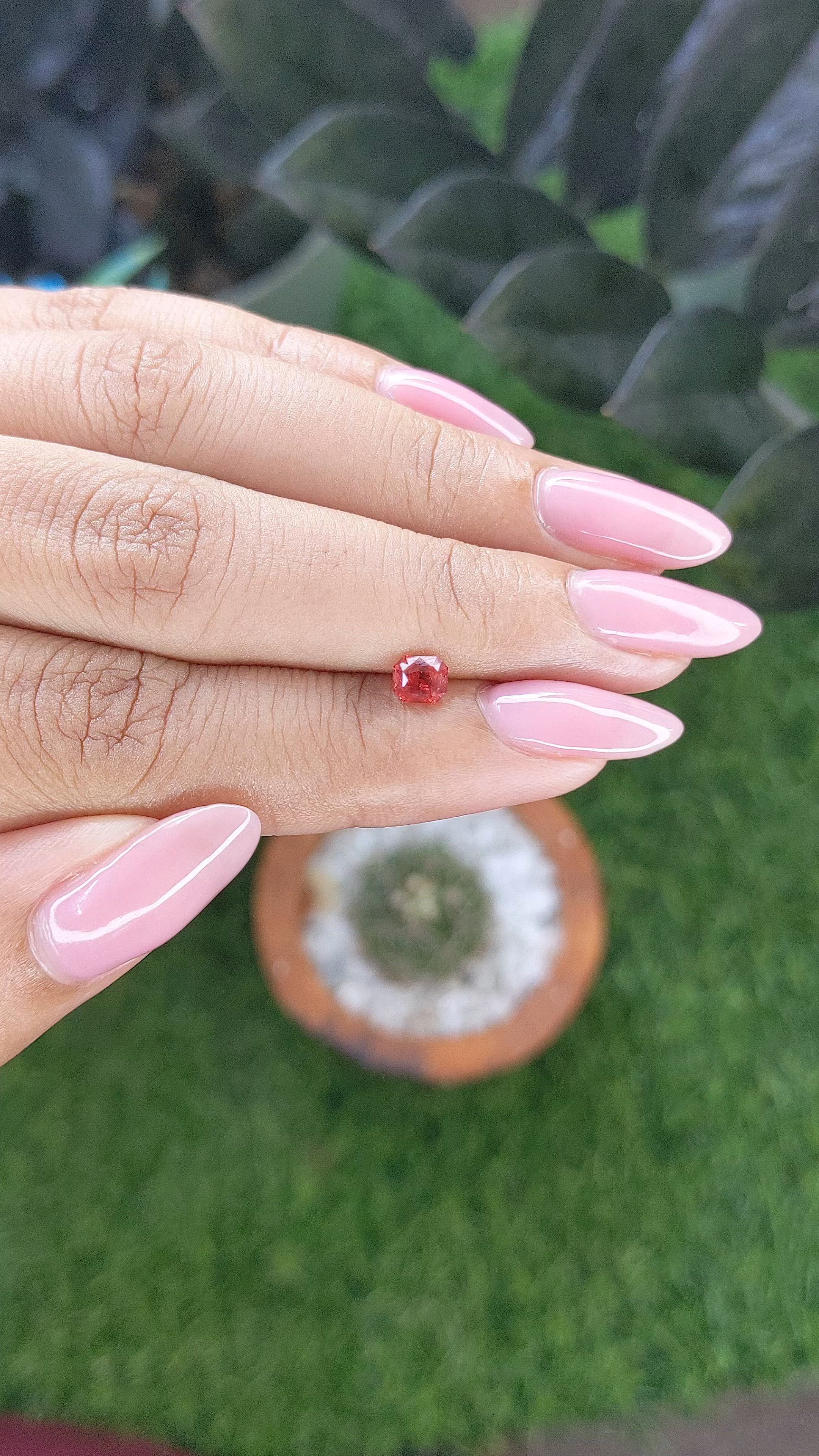 0.53 Ct. Red Spinel from Tanzania Size Video