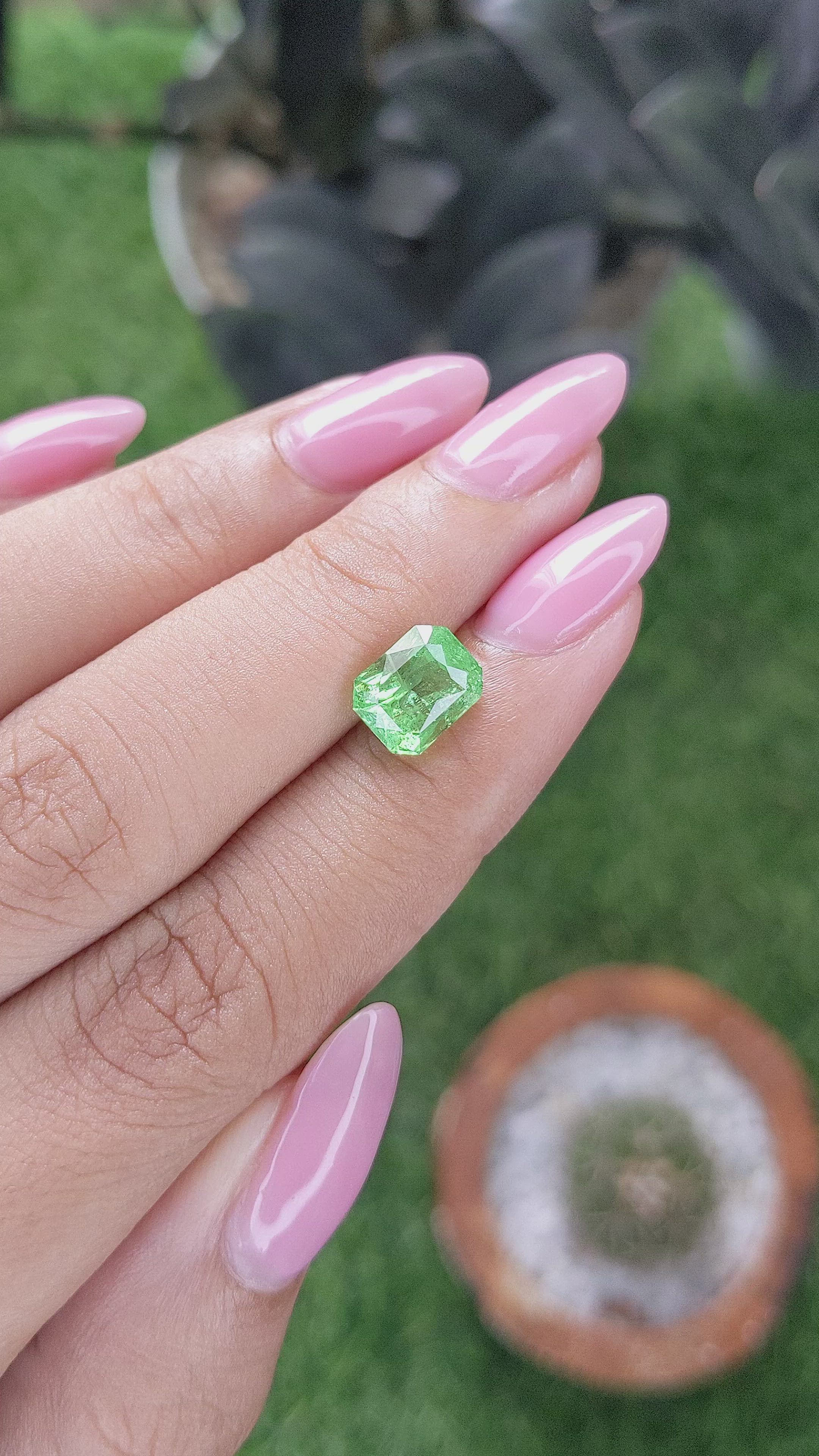 2.83 Ct. Tsavorite Garnet from Tanzania Size Video