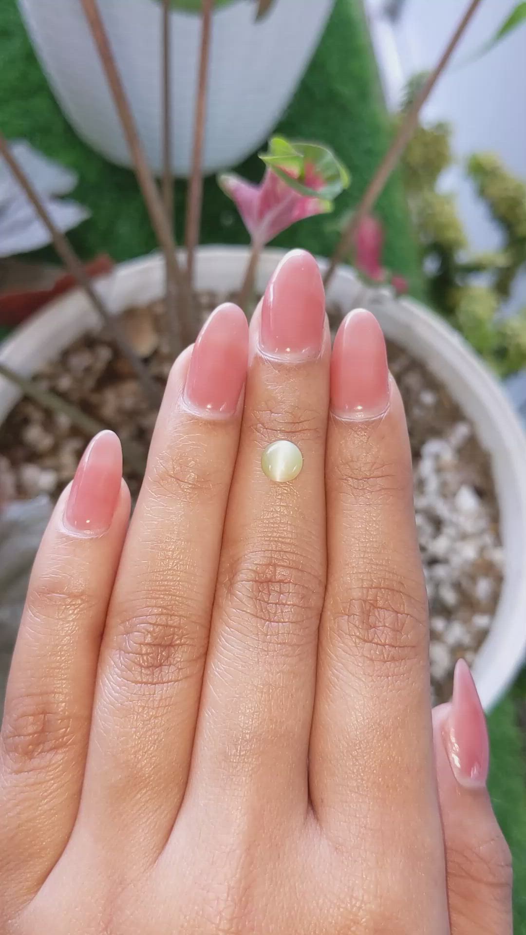 1.47 Ct. Yellow Cabochon Chrysoberyl from Ceylon (Sri Lanka) Size Video