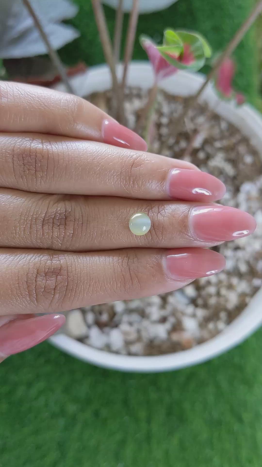 1.47 Ct. Yellow Cabochon Chrysoberyl from Ceylon (Sri Lanka) Size Video