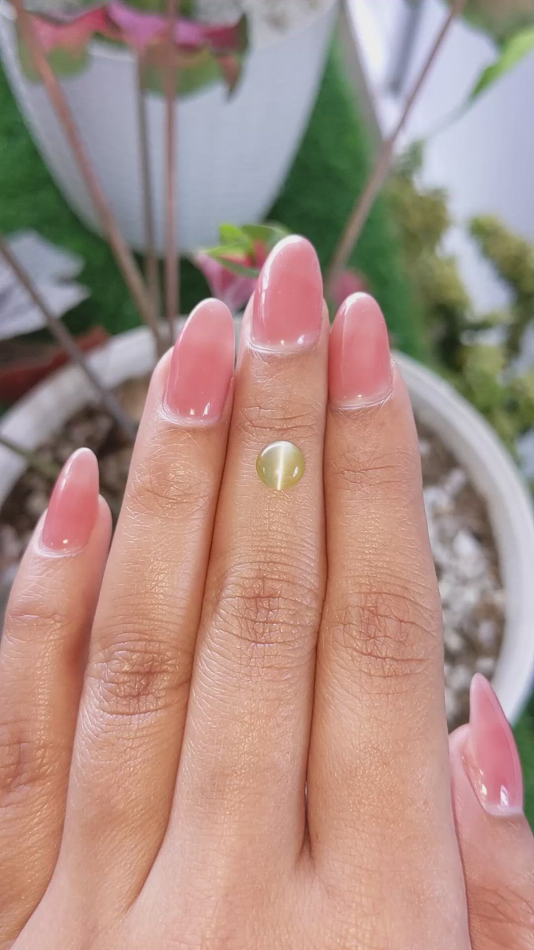 1.68 Ct. Brownish Yellow Cabochon Chrysoberyl from Ceylon (Sri Lanka) Size Video