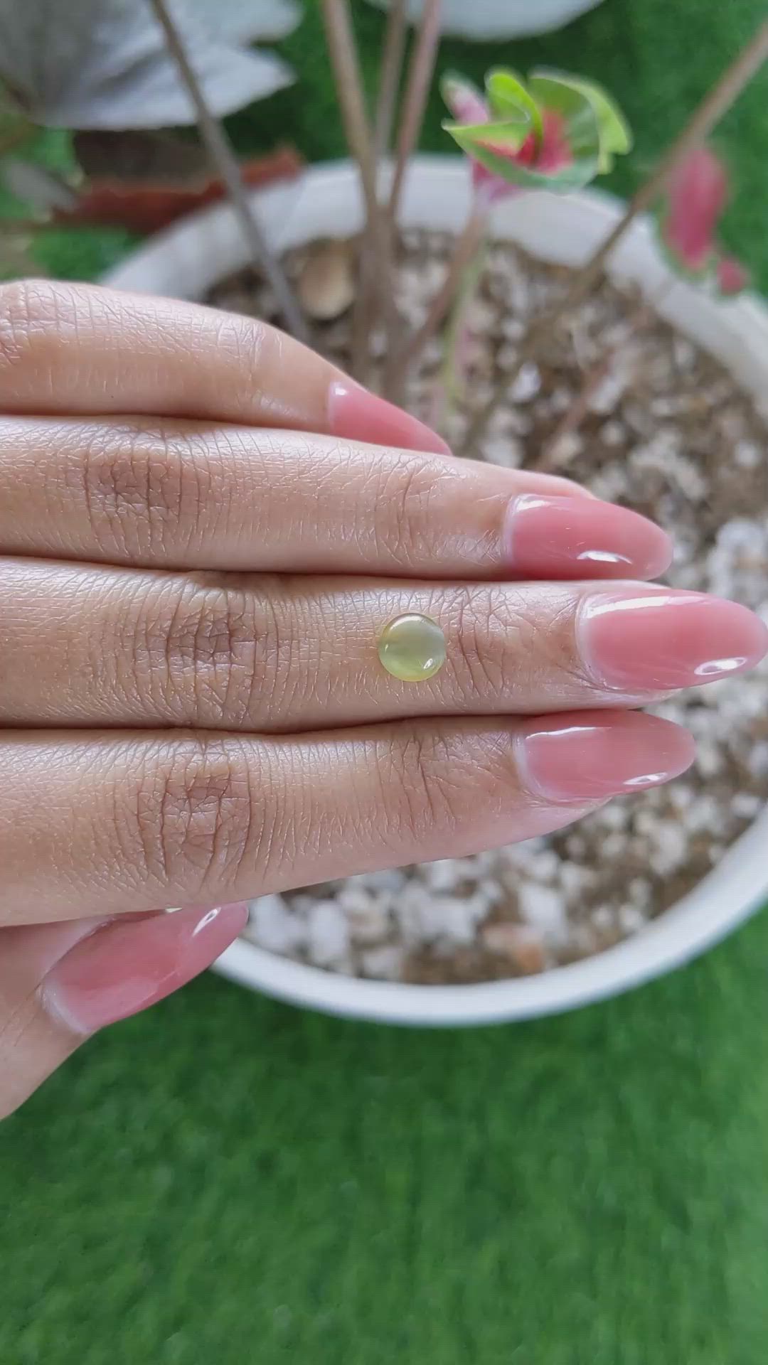 1.68 Ct. Brownish Yellow Cabochon Chrysoberyl from Ceylon (Sri Lanka) Size Video