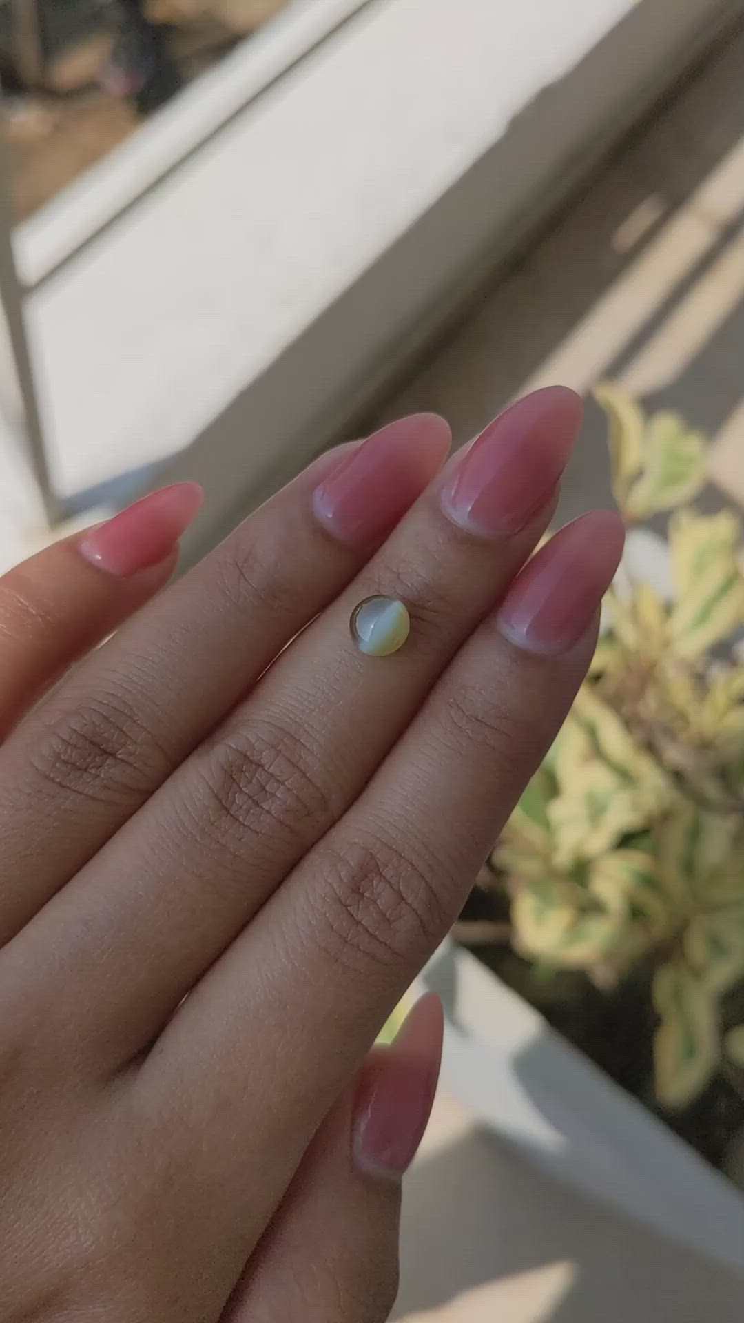 1.68 Ct. Brownish Yellow Cabochon Chrysoberyl from Ceylon (Sri Lanka) Size Video