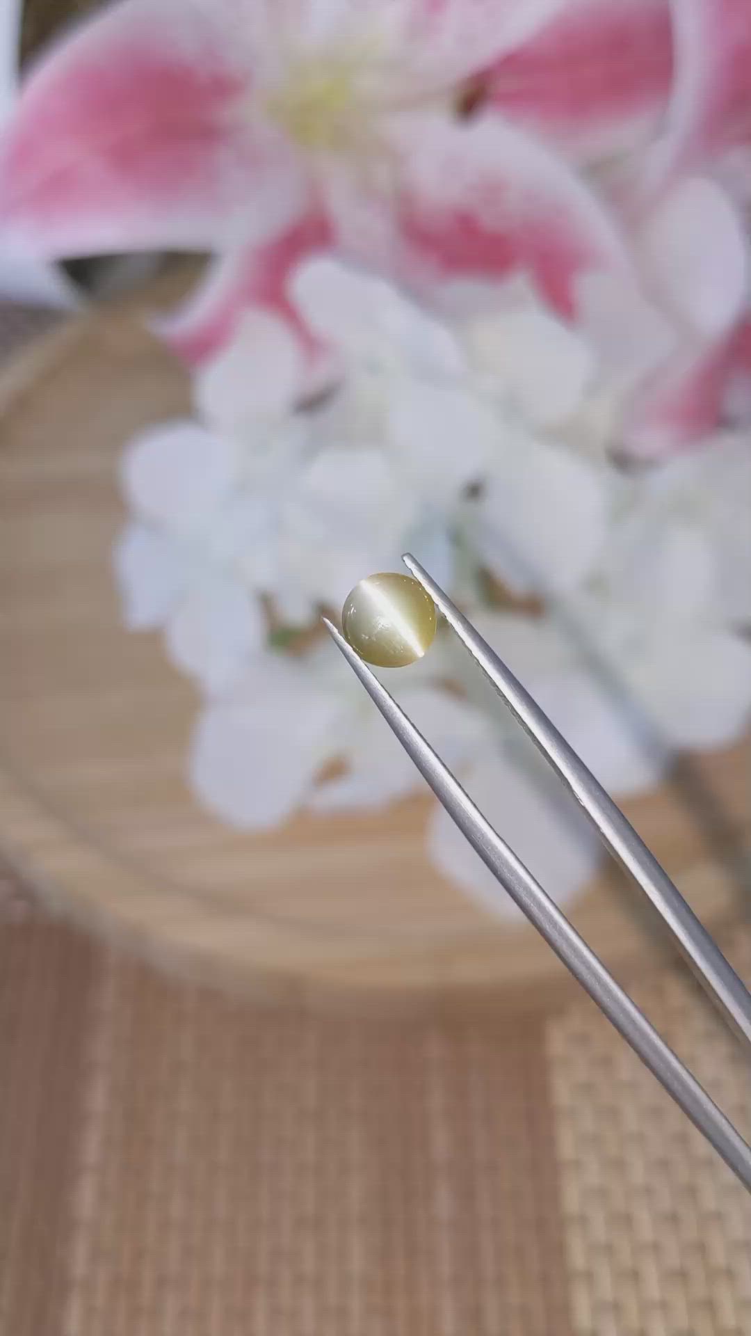 1.68 Ct. Brownish Yellow Cabochon Chrysoberyl from Ceylon (Sri Lanka) Size Video