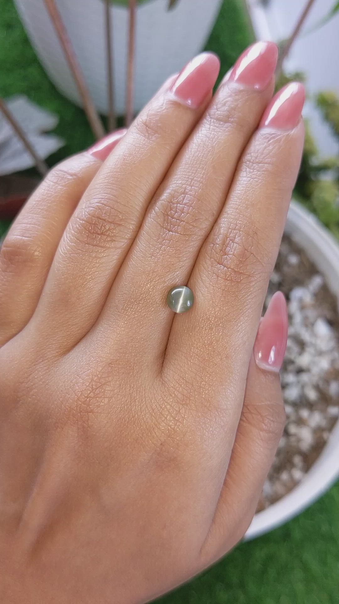1.68 Ct. Green Cabochon Chrysoberyl from Ceylon (Sri Lanka) Size Video
