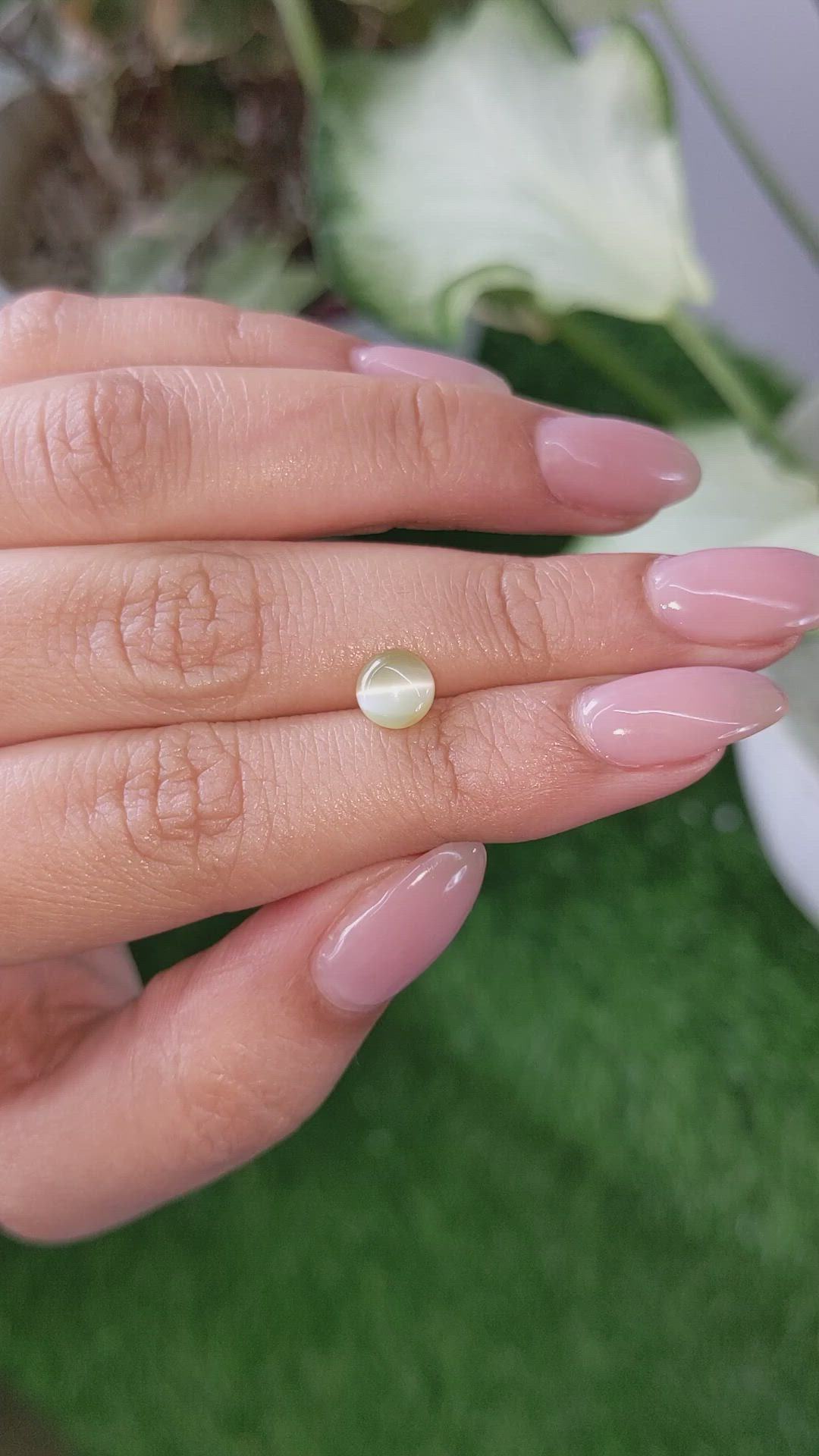 1.54 Ct. Yellowish Brown Cabochon Chrysoberyl from Ceylon (Sri Lanka) Size Video