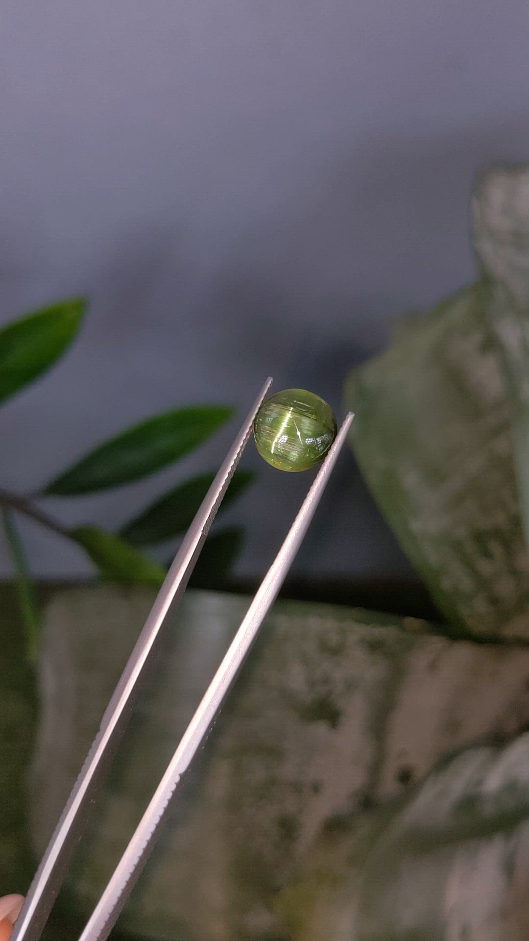 3.52 Ct. Yellowish Green Tourmaline from Brazil Size Video