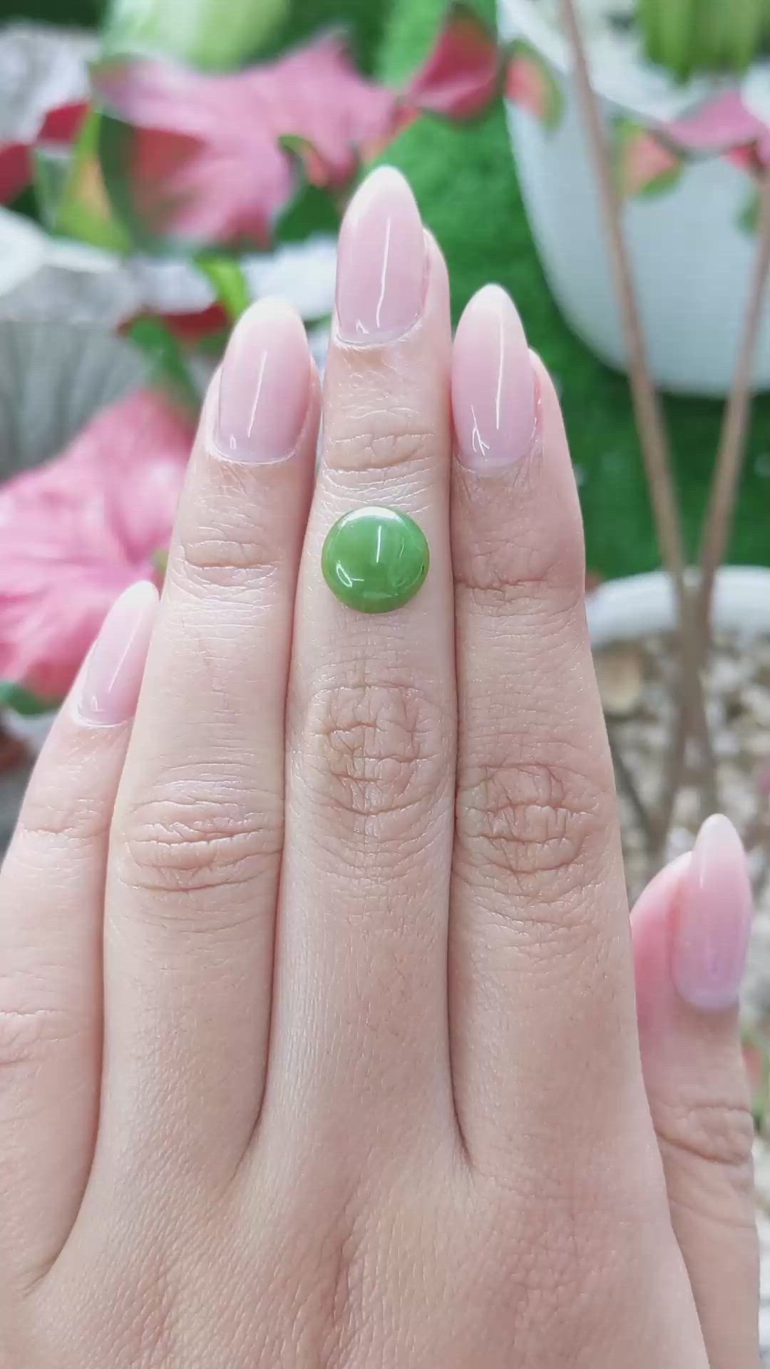 3.50 Ct. Green Cabochon Jade from Burma (Myanmar) Size Video