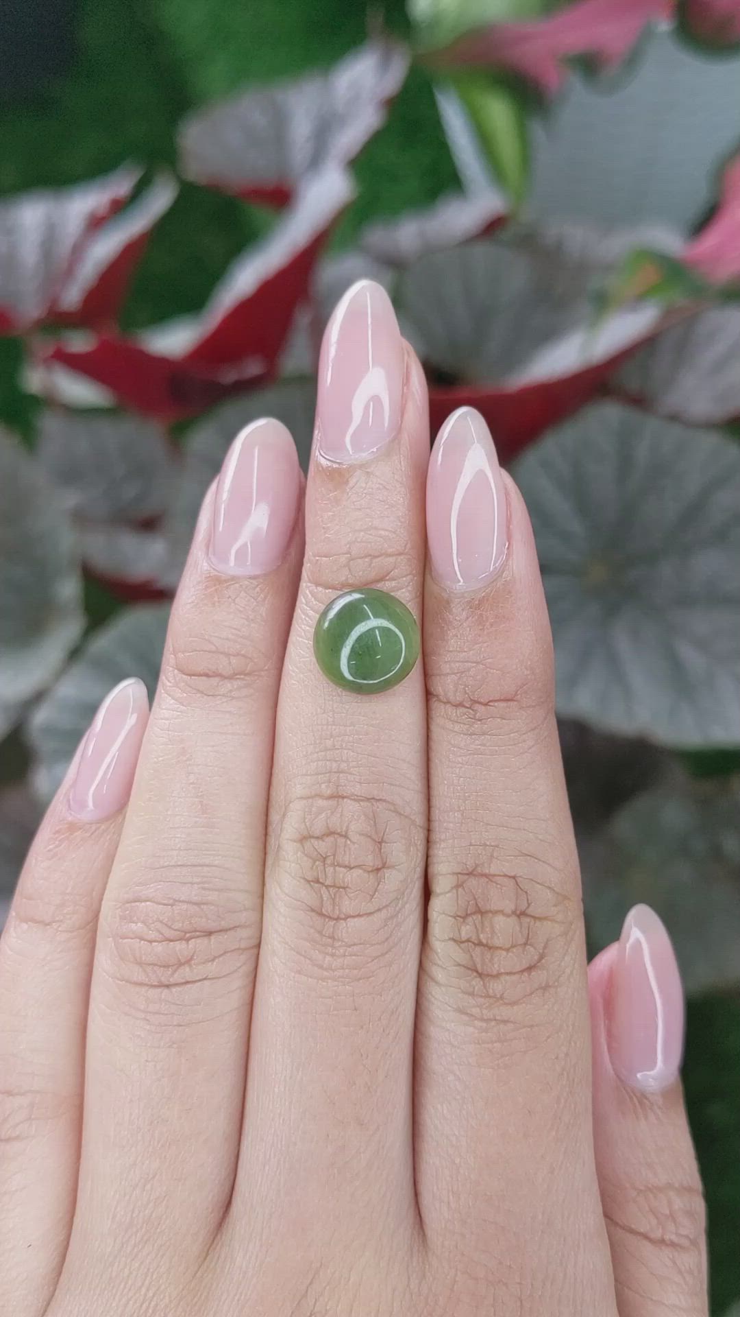 3.25 Ct. Green Cabochon Jade from Burma (Myanmar) Size Video