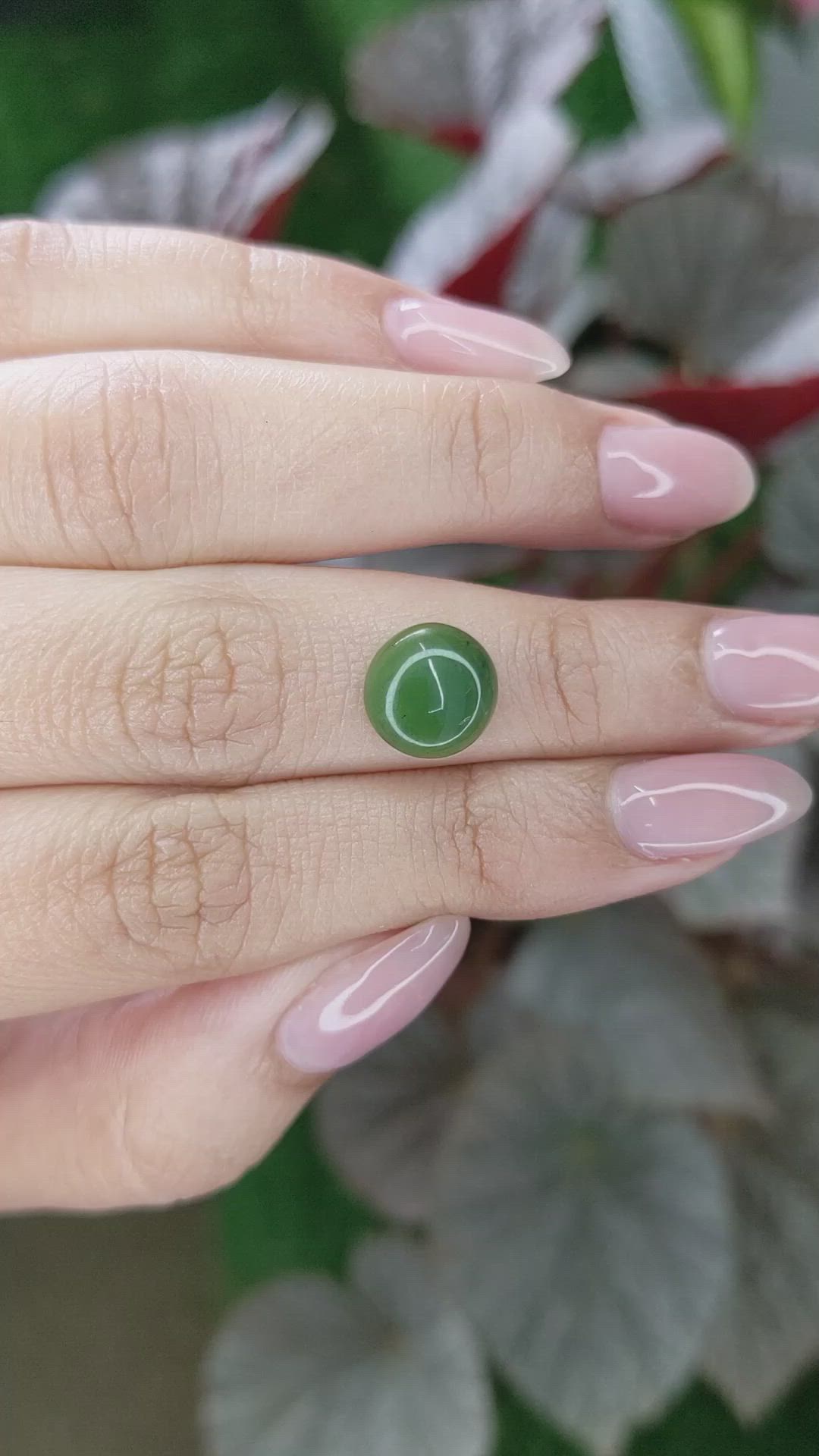 3.10 Ct. Green Cabochon Jade from Burma (Myanmar) Size Video