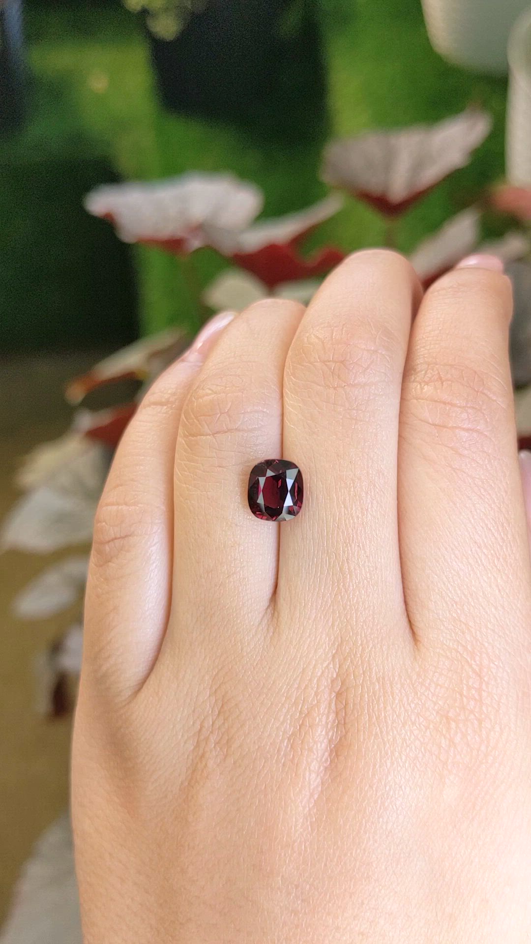 3.34 Ct. Red Garnet from Ceylon (Sri Lanka) Size Video
