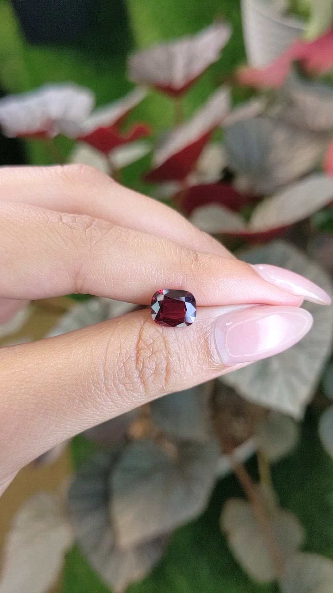 2.53 Ct. Red Garnet from Ceylon (Sri Lanka) Size Video