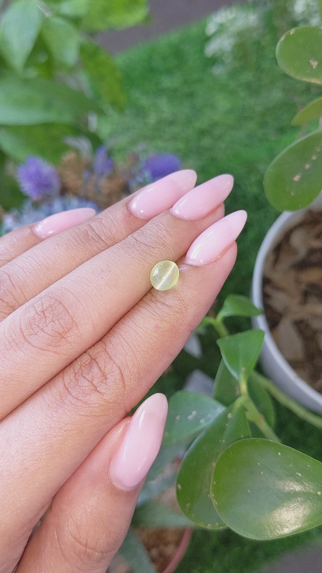 1.76 Ct. Yellowish Green Cabochon Chrysoberyl from Tanzania Size Video