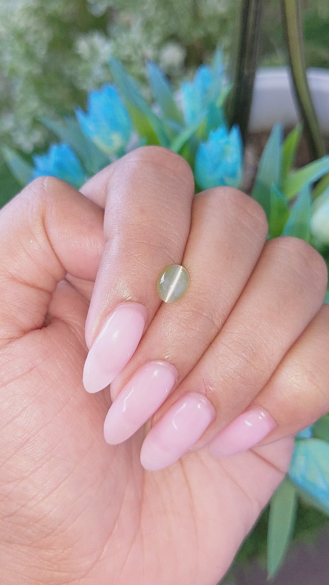 1.53 Ct. Yellowish Green Cabochon Chrysoberyl from Tanzania Size Video