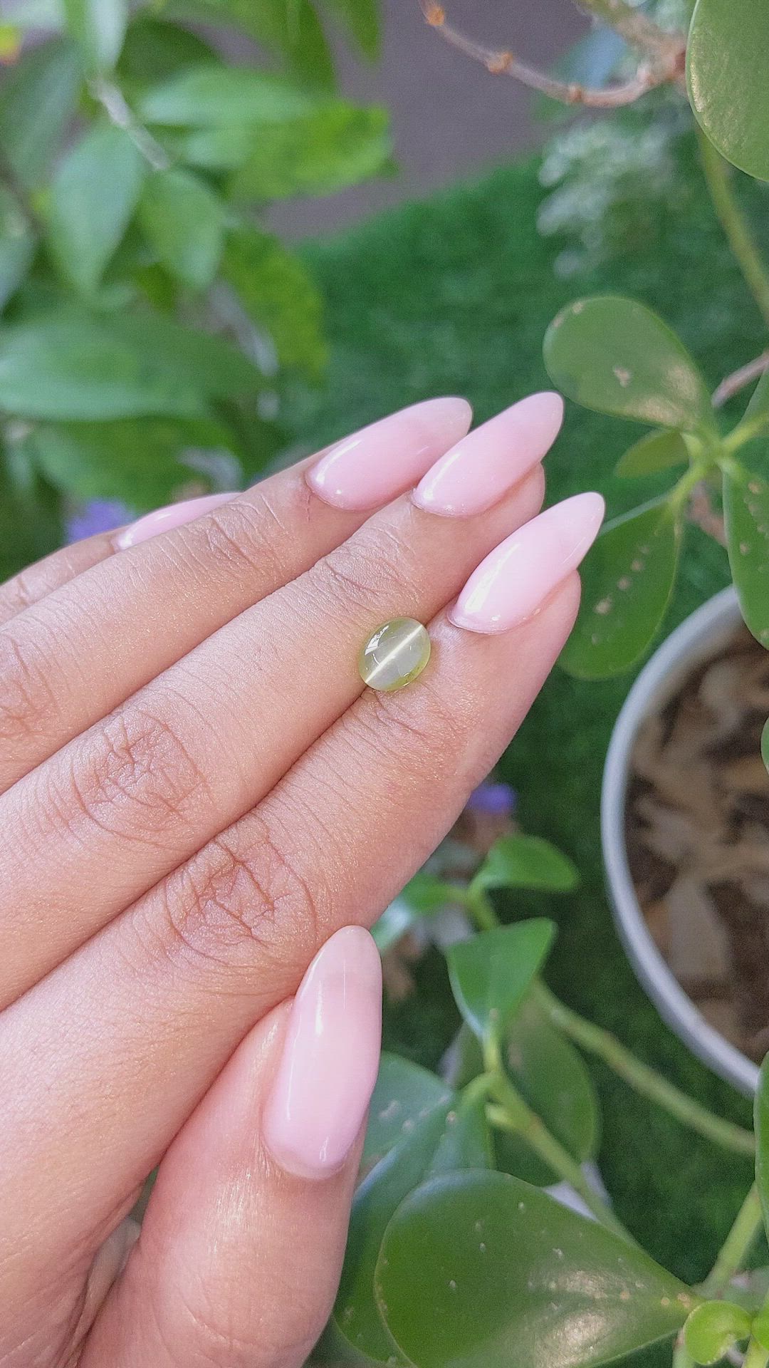 1.53 Ct. Yellowish Green Cabochon Chrysoberyl from Tanzania Size Video