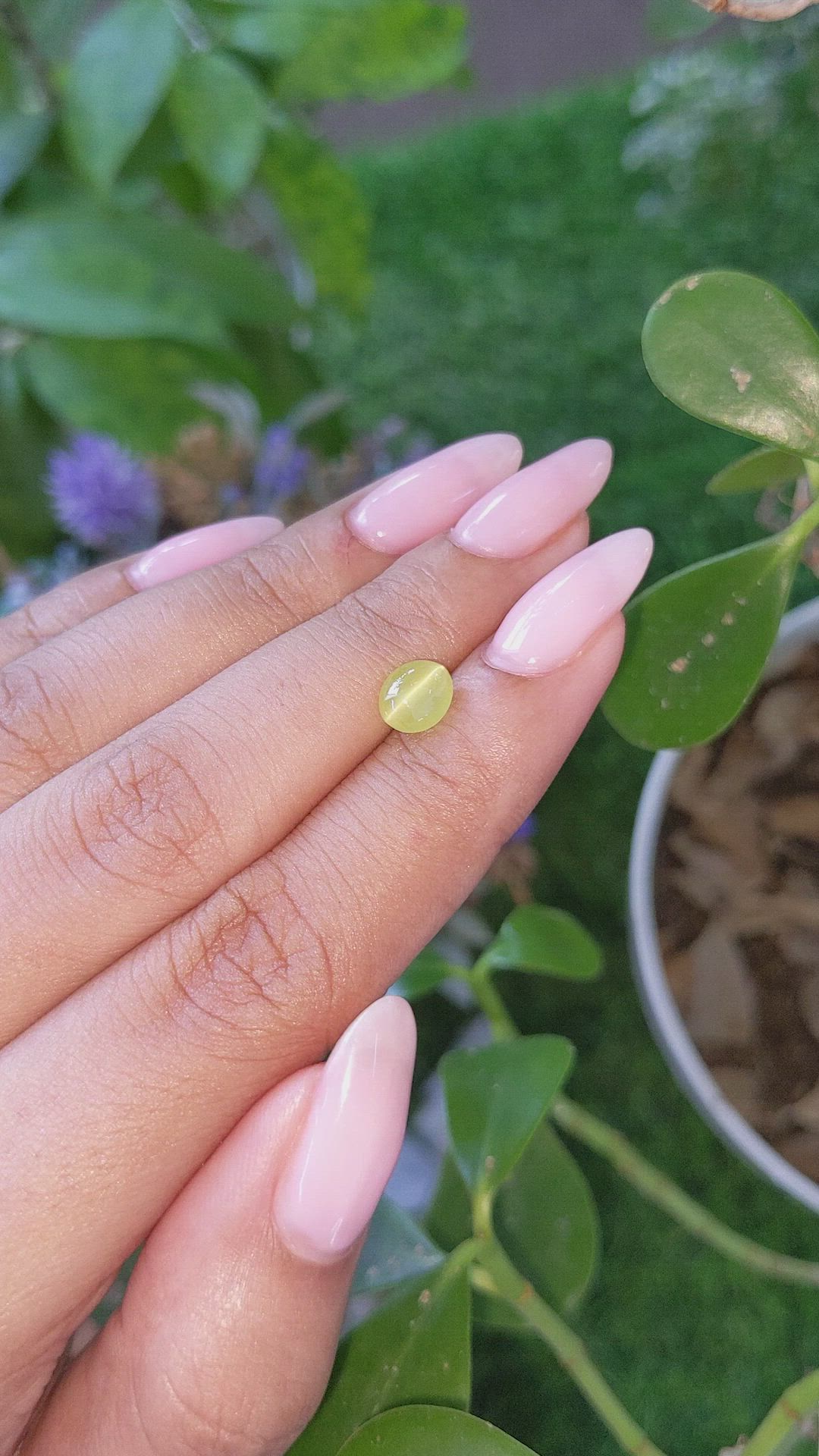 1.47 Ct. Greenish Yellow Cabochon Chrysoberyl from Tanzania Size Video