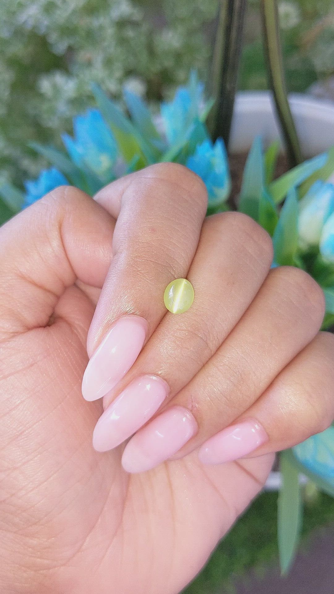 1.47 Ct. Greenish Yellow Cabochon Chrysoberyl from Tanzania Size Video