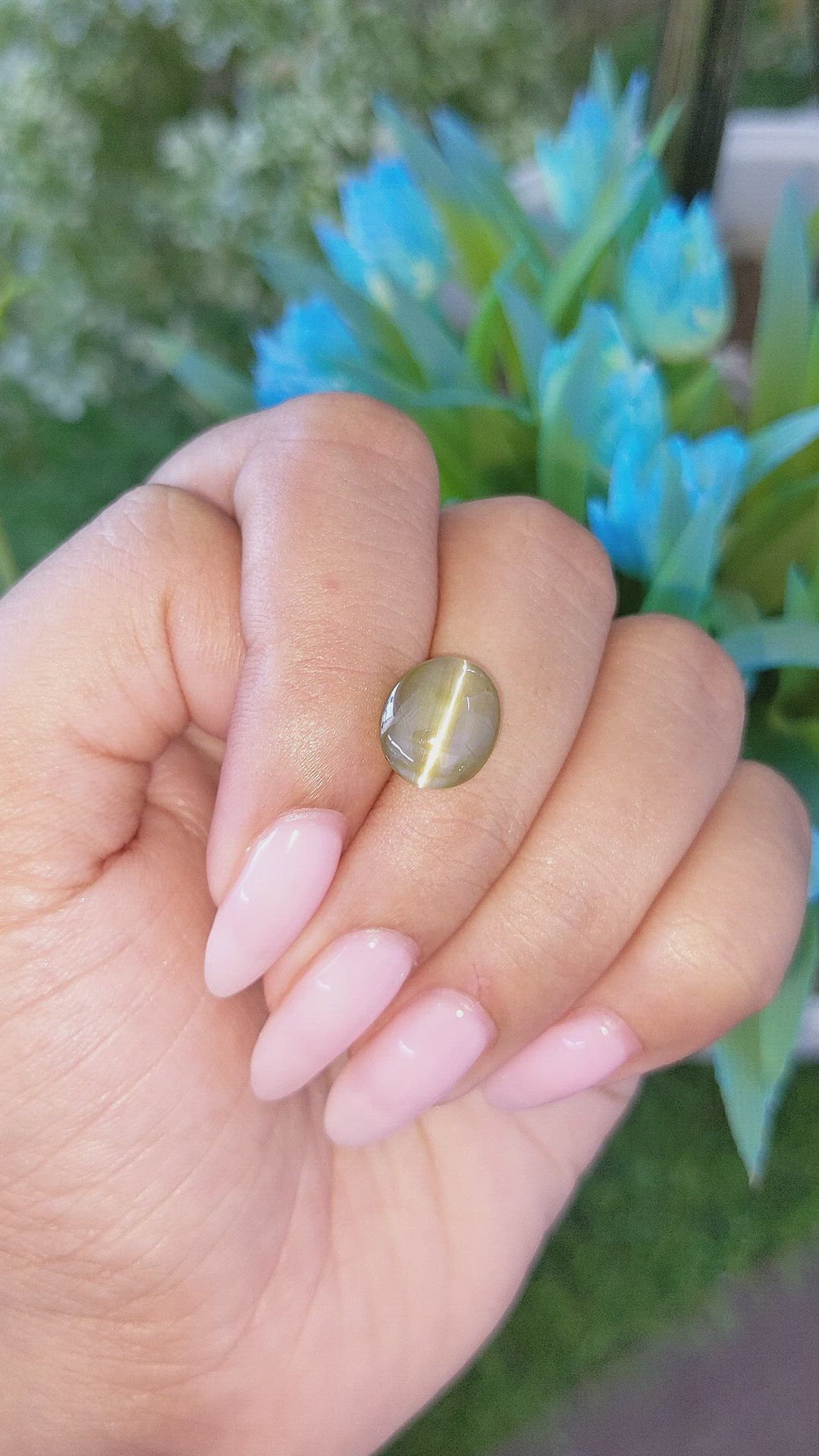 6.09 Ct. Brownish Green Cabochon Chrysoberyl from Tanzania Size Video