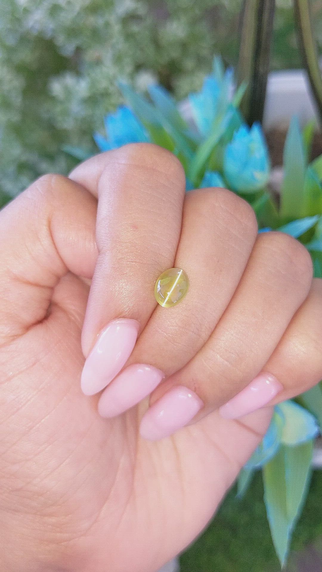 2.27 Ct. Greenish Yellow Cabochon Chrysoberyl from Tanzania Size Video
