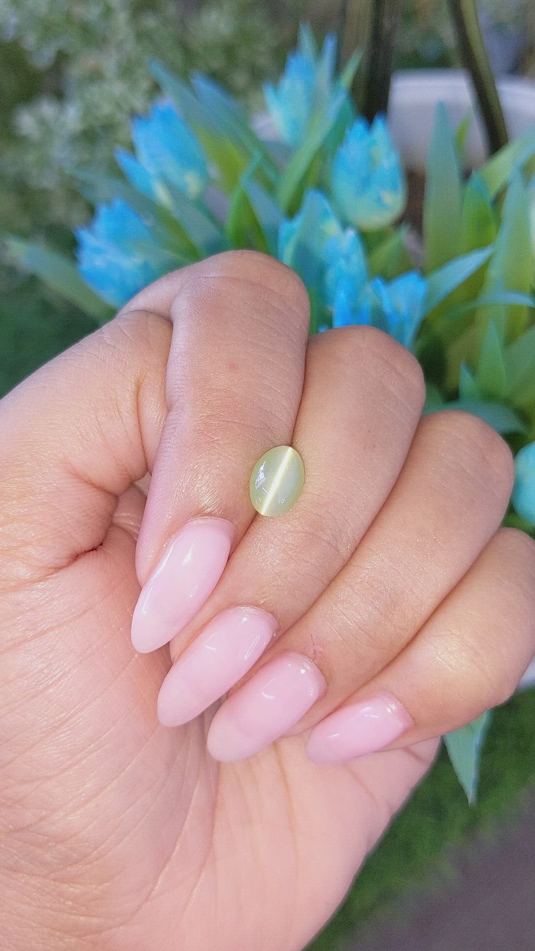 2.32 Ct. Yellowish Green Cabochon Chrysoberyl from Tanzania Size Video