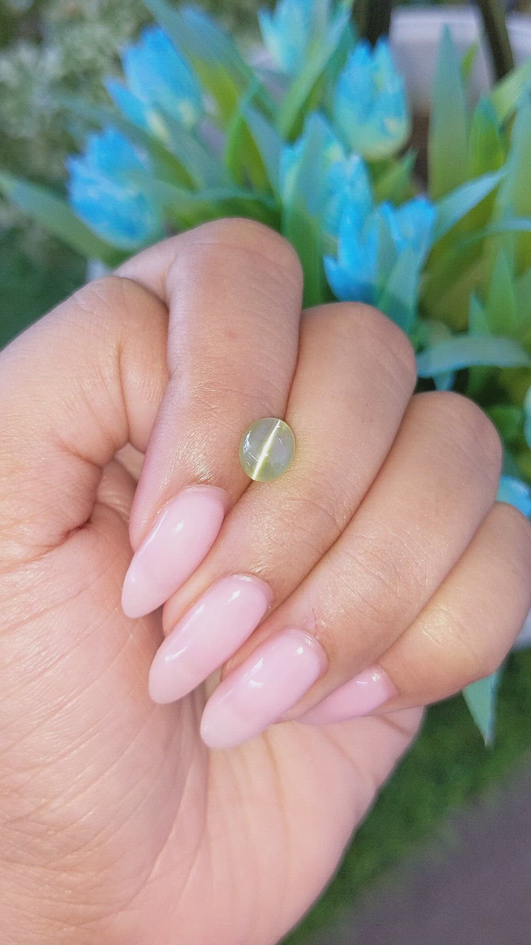 2.02 Ct. Yellowish Green Cabochon Chrysoberyl from Tanzania Size Video