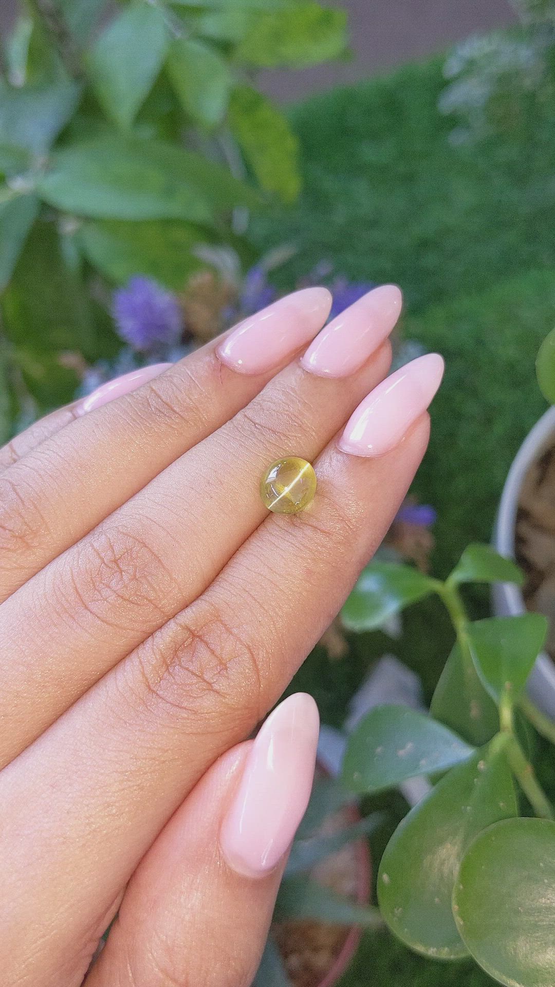 2.30 Ct. Greenish Yellow Cabochon Chrysoberyl from Tanzania Size Video