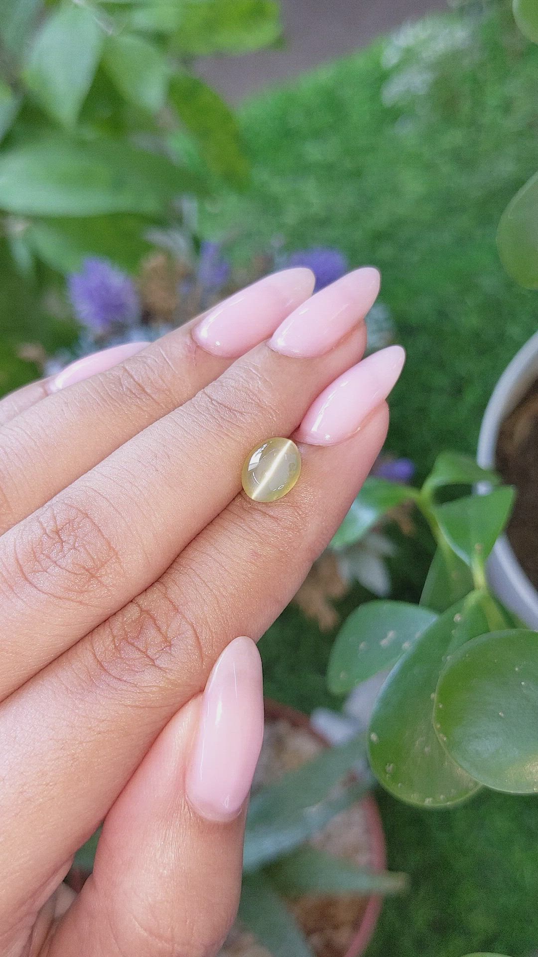 2.40 Ct. Greenish Yellow Cabochon Chrysoberyl from Tanzania Size Video