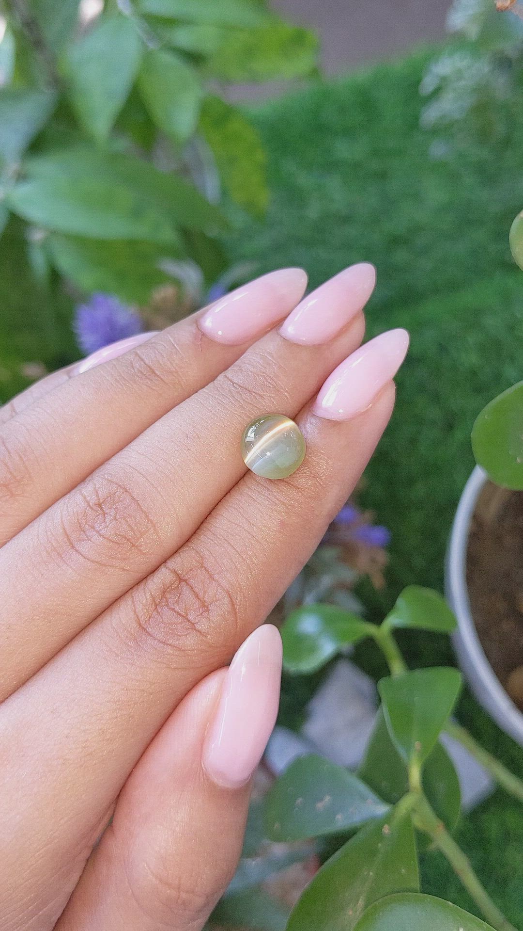 5.00 Ct. Greenish Yellow Cabochon Chrysoberyl from Ceylon (Sri Lanka) Size Video