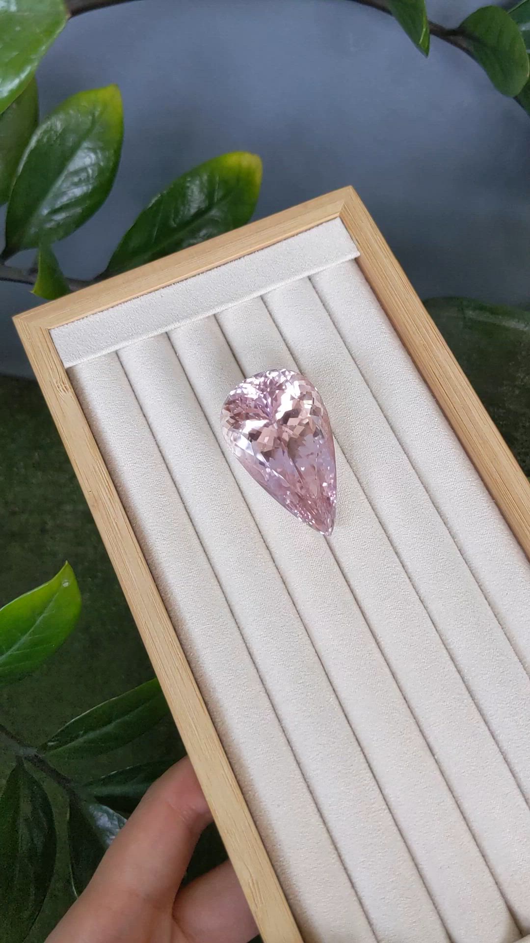 175.21 Ct. Peach Kunzite from Afghanistan Size Video