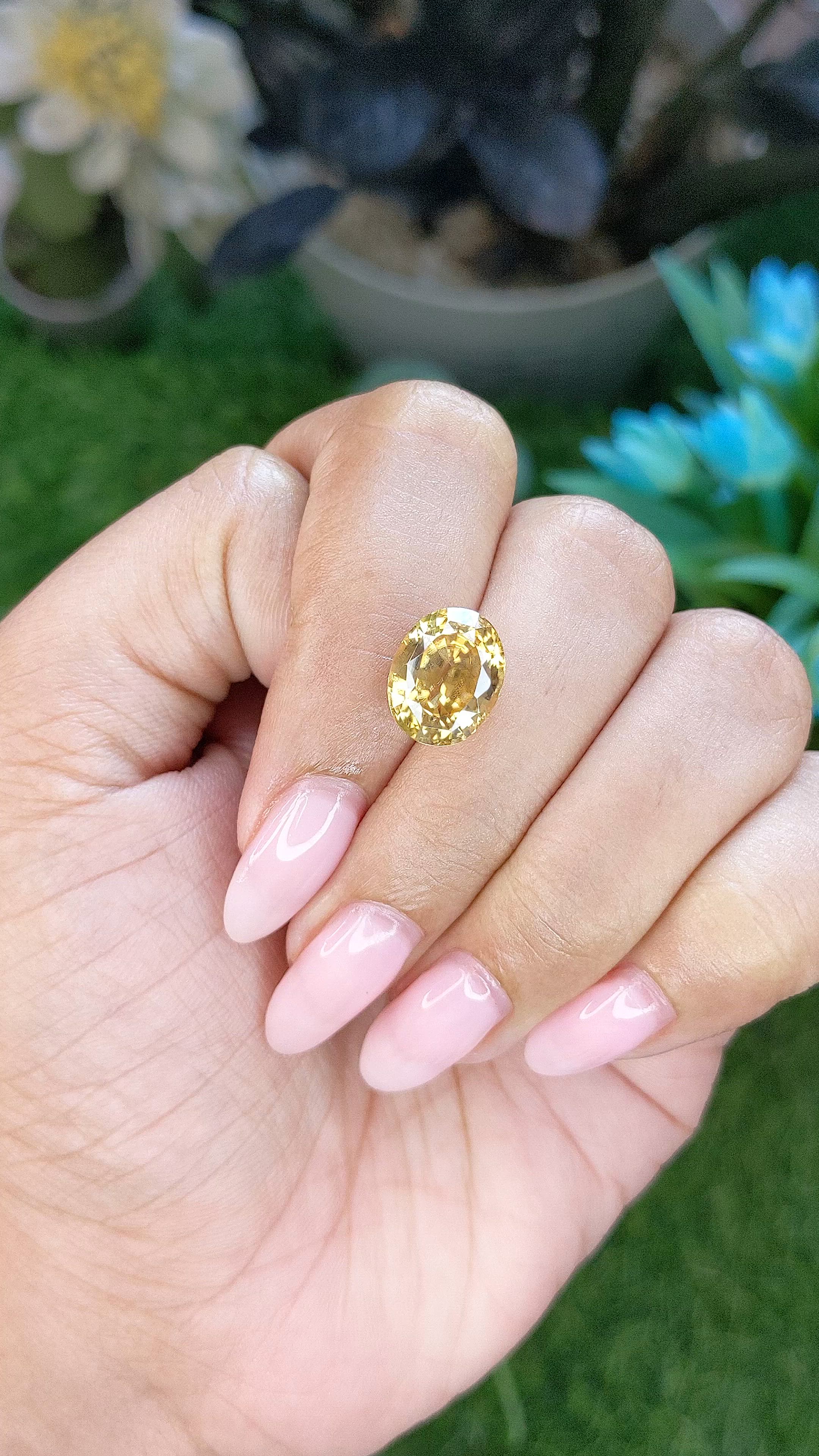 7.83 Ct. Golden Yellow Sinhalite from Ceylon (Sri Lanka) Size Video
