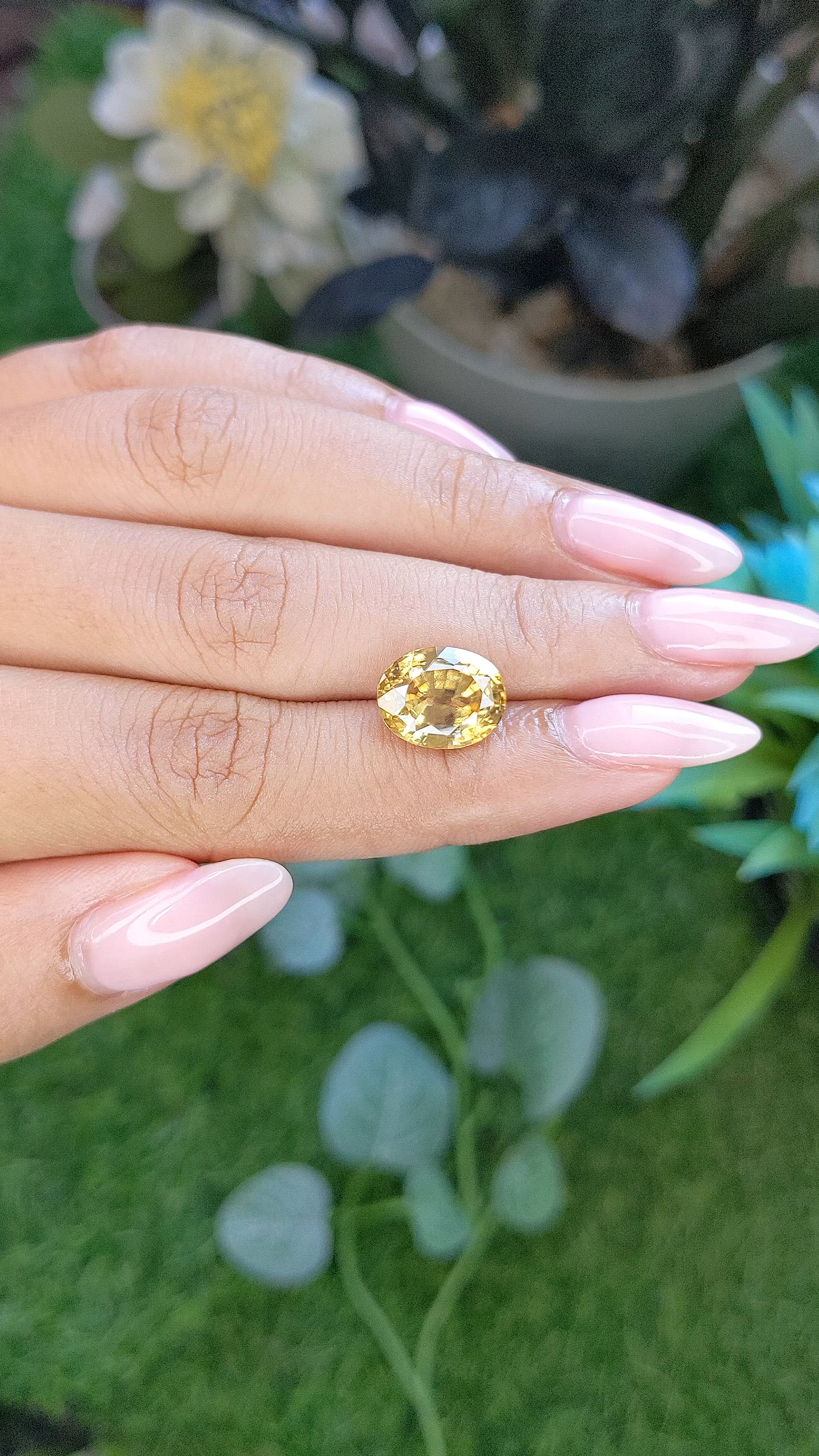 7.83 Ct. Golden Yellow Sinhalite from Ceylon (Sri Lanka) Size Video