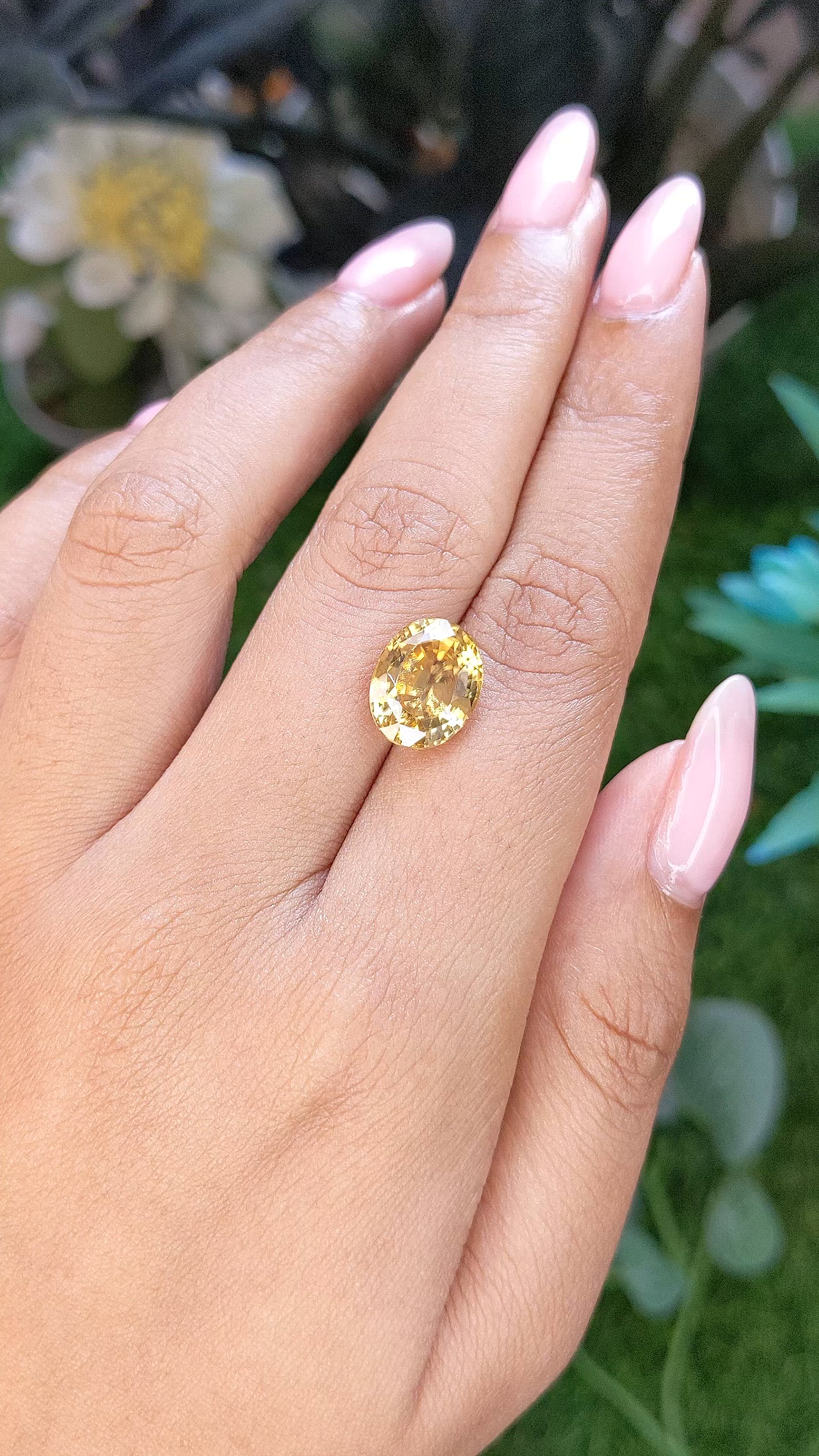 7.83 Ct. Golden Yellow Sinhalite from Ceylon (Sri Lanka) Size Video