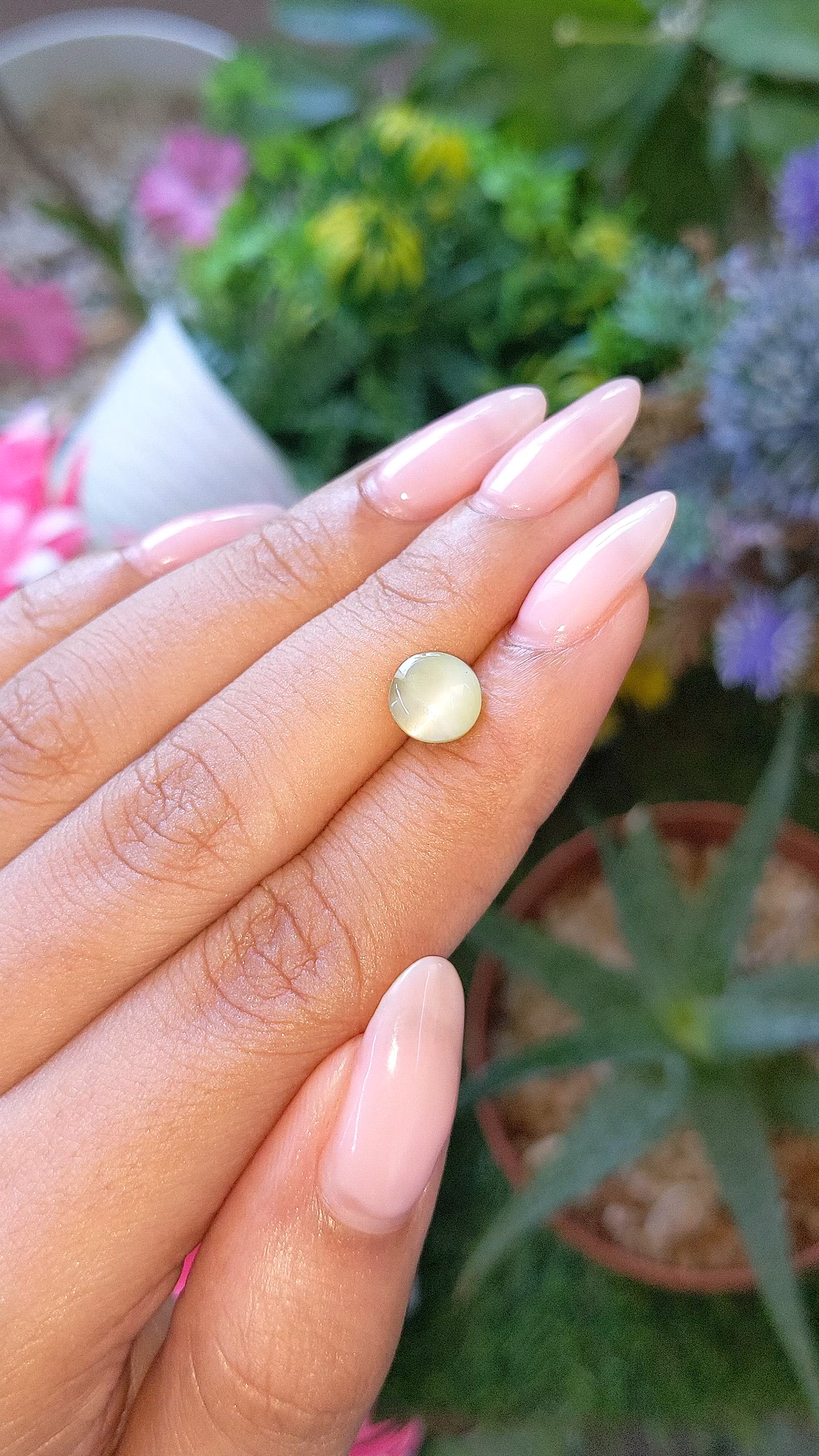 1.80 Ct. Yellowish Green Cabochon Chrysoberyl from Ceylon (Sri Lanka) Size Video