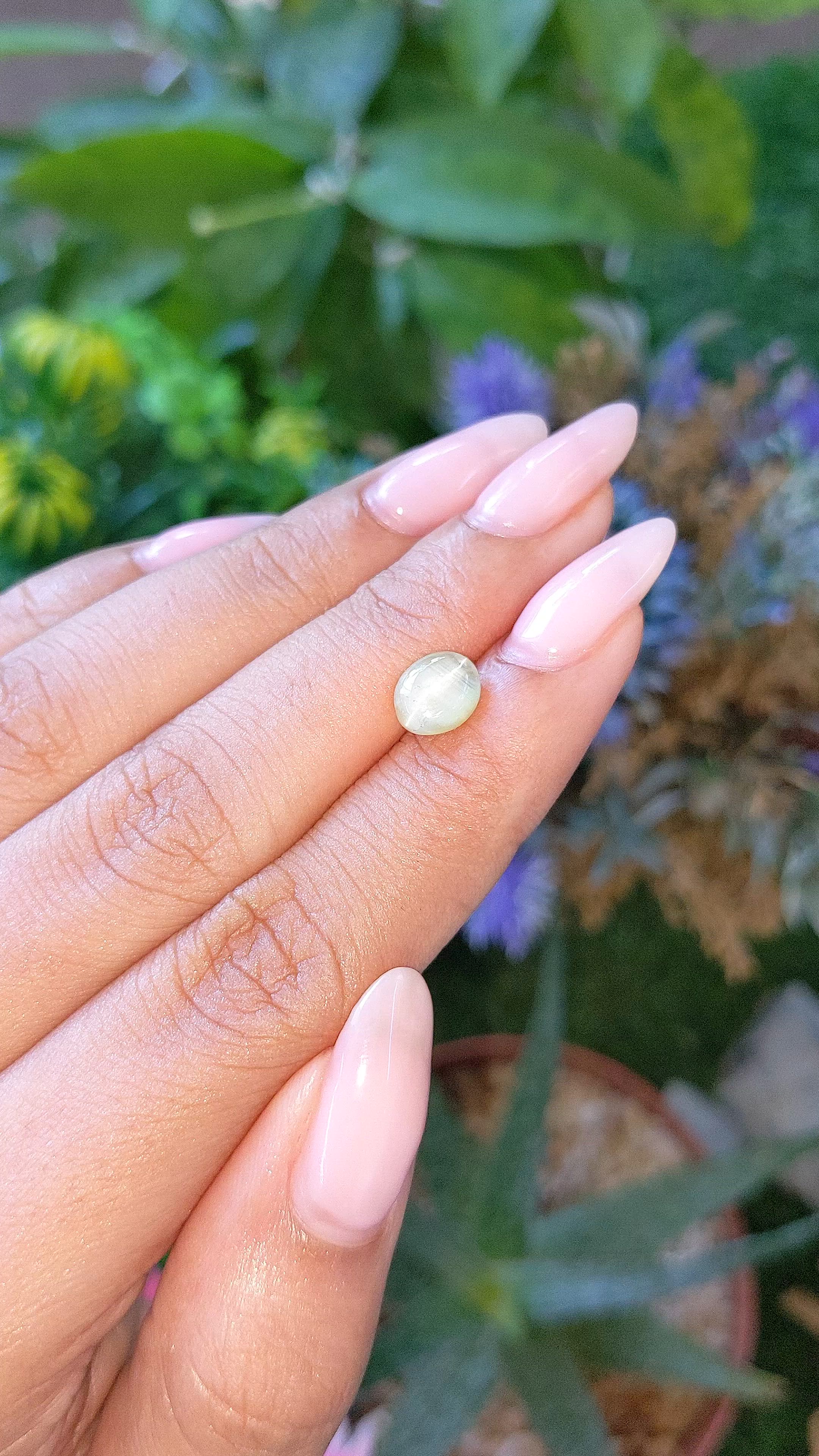 1.90 Ct. Yellowish Green Cabochon Chrysoberyl from Ceylon (Sri Lanka) Size Video