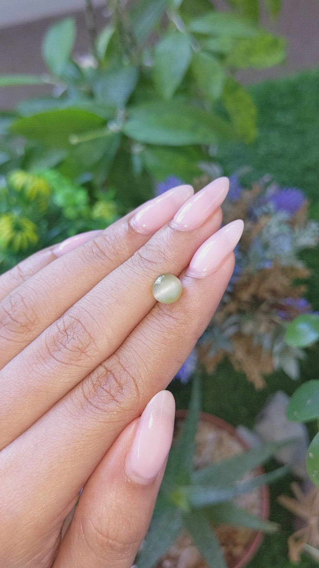 2.34 Ct. Green Cabochon Chrysoberyl from Ceylon (Sri Lanka) Size Video