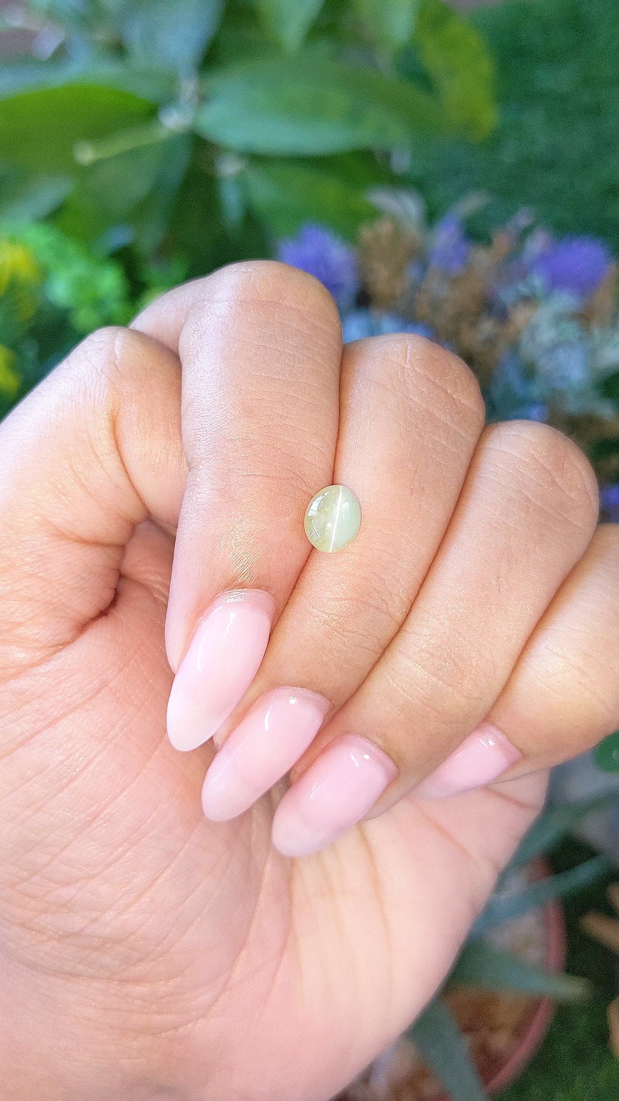 1.71 Ct. Greenish Yellow Cabochon Chrysoberyl from Ceylon (Sri Lanka) Size Video